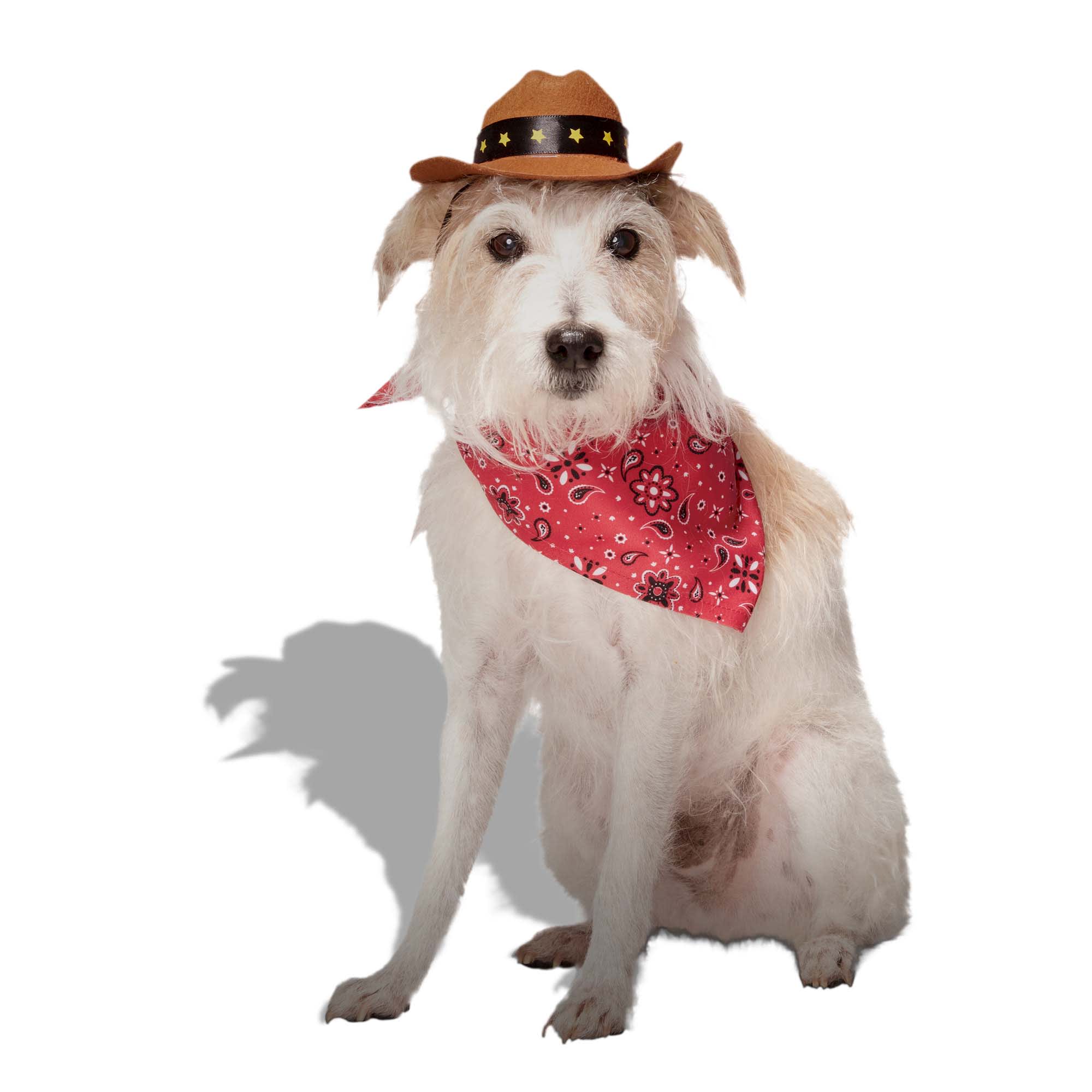 Black Cowgirl Hat with Heart Glasses & Bandana - Western Cowboy