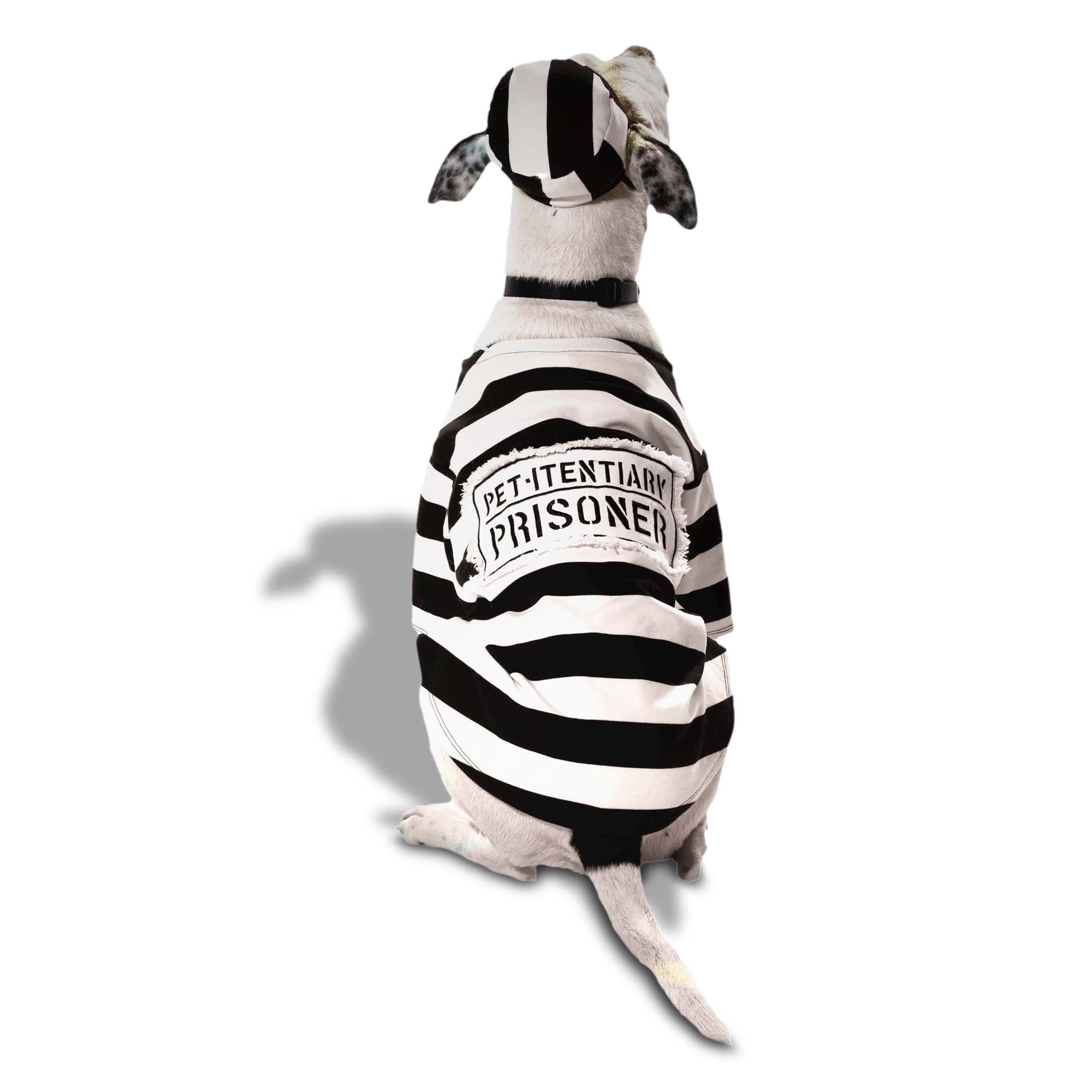 Jail dog clearance costume