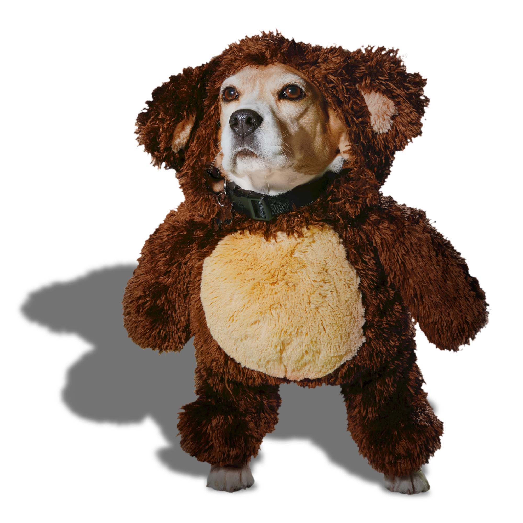 A Shih Tzu Wearing a Walking Teddy Bear Costume