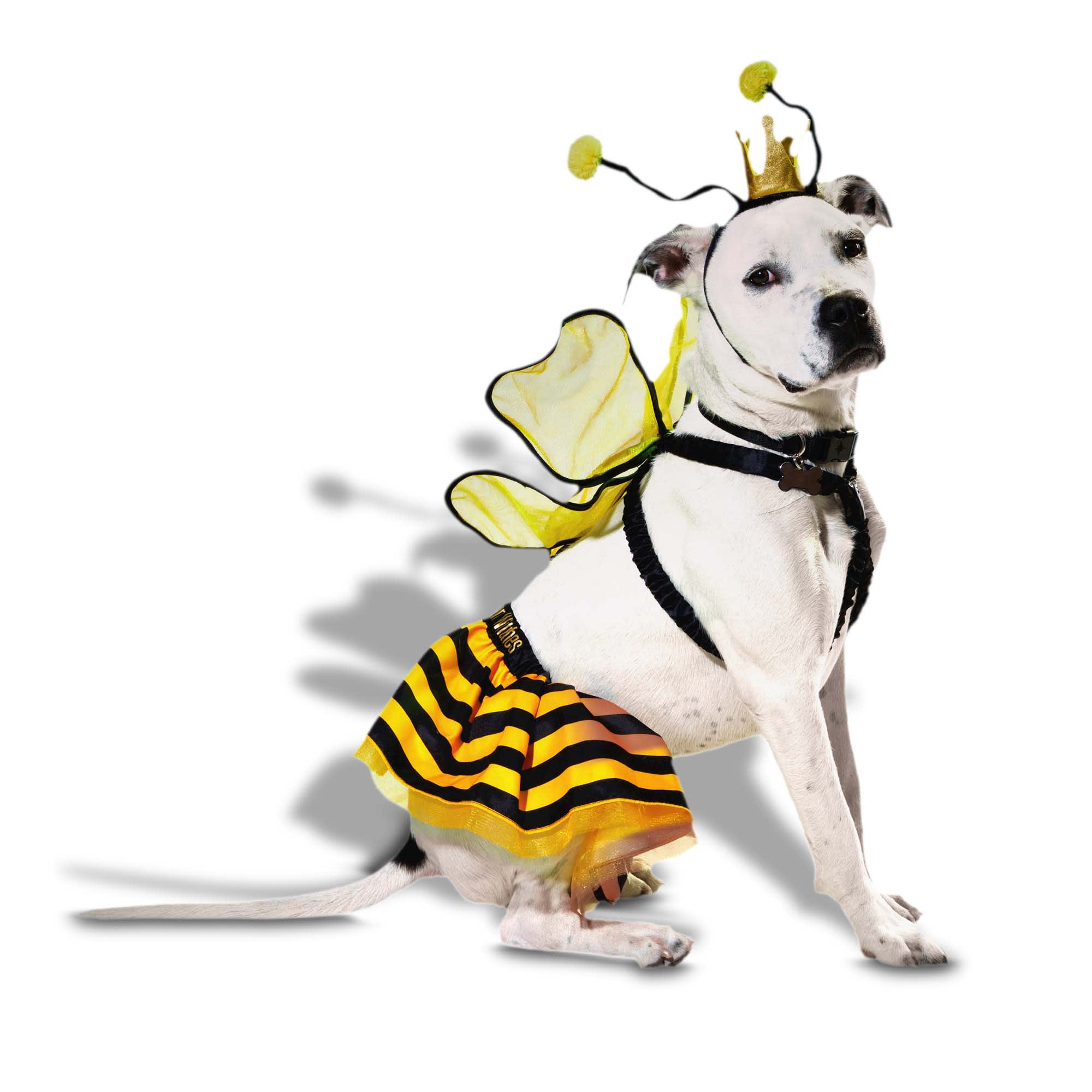 Bootique Queen Bee Costume for Dogs, XX-Small