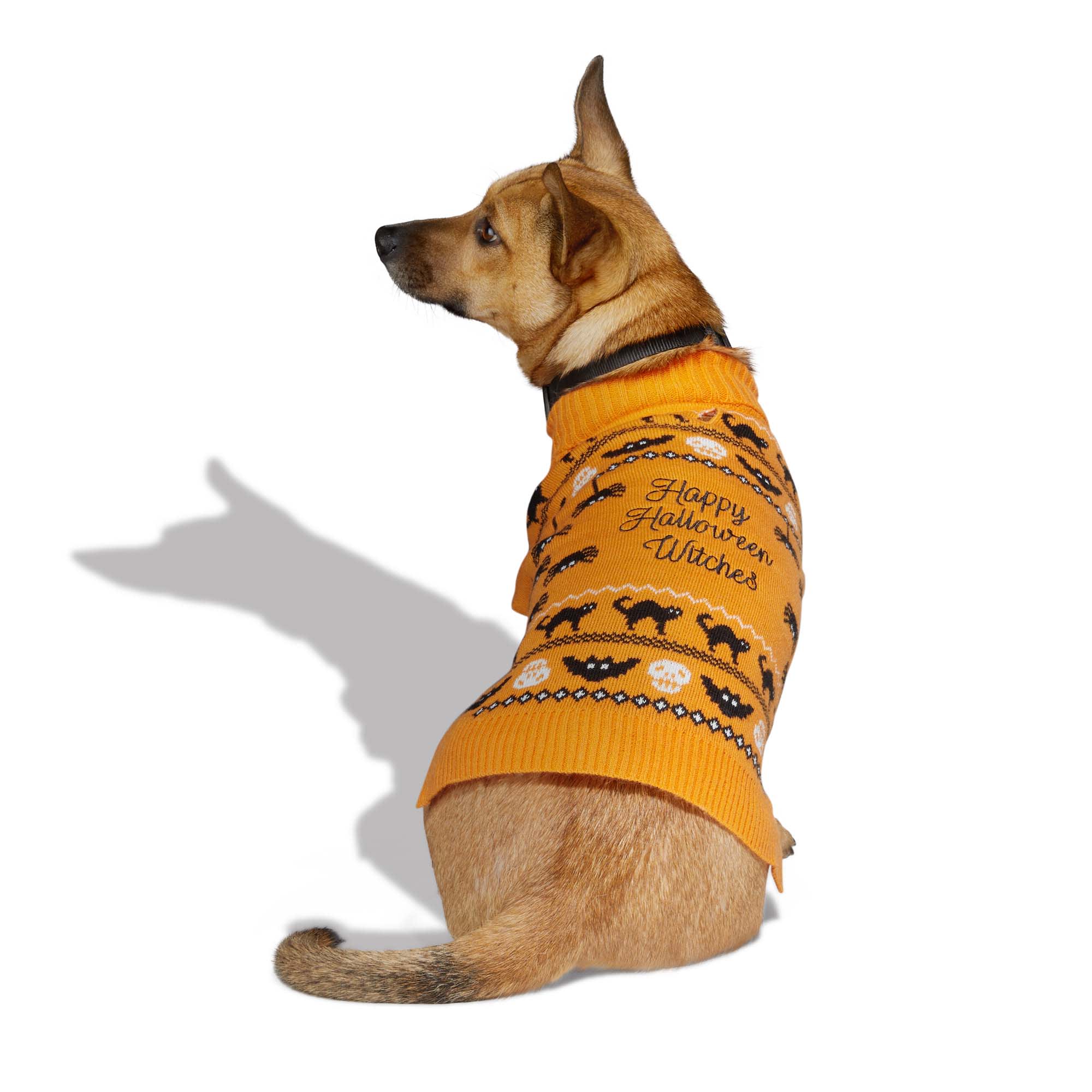 Petco dog hot sale sweaters