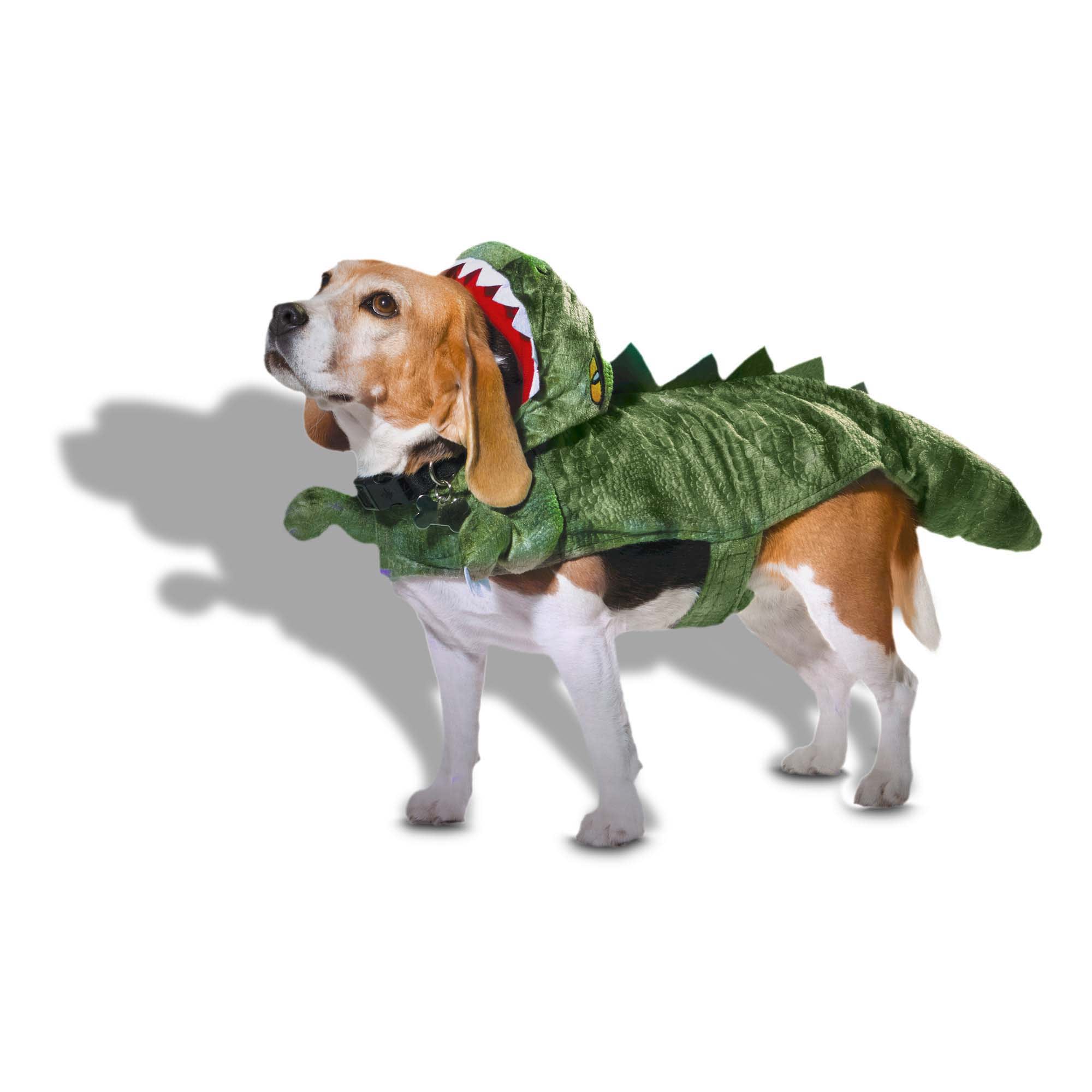 Dog in shop a dinosaur costume