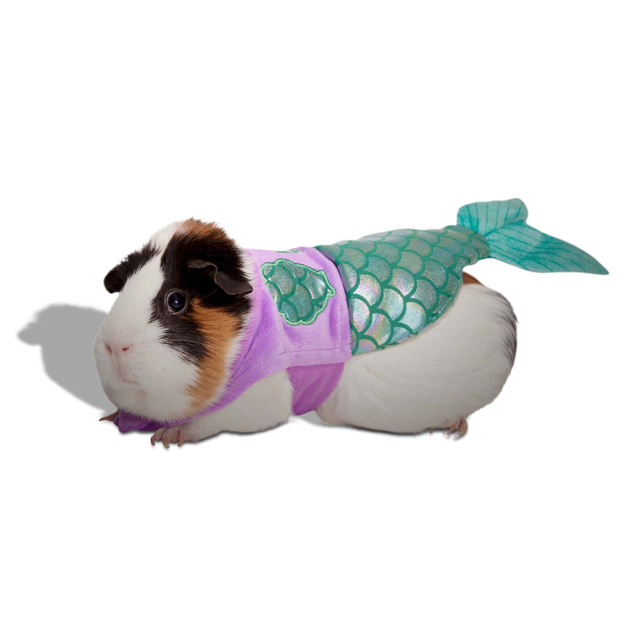 Unique and Awesome Smaller Breed ONLY Mermaid Dog Halloween Costume size  xsmall-Large