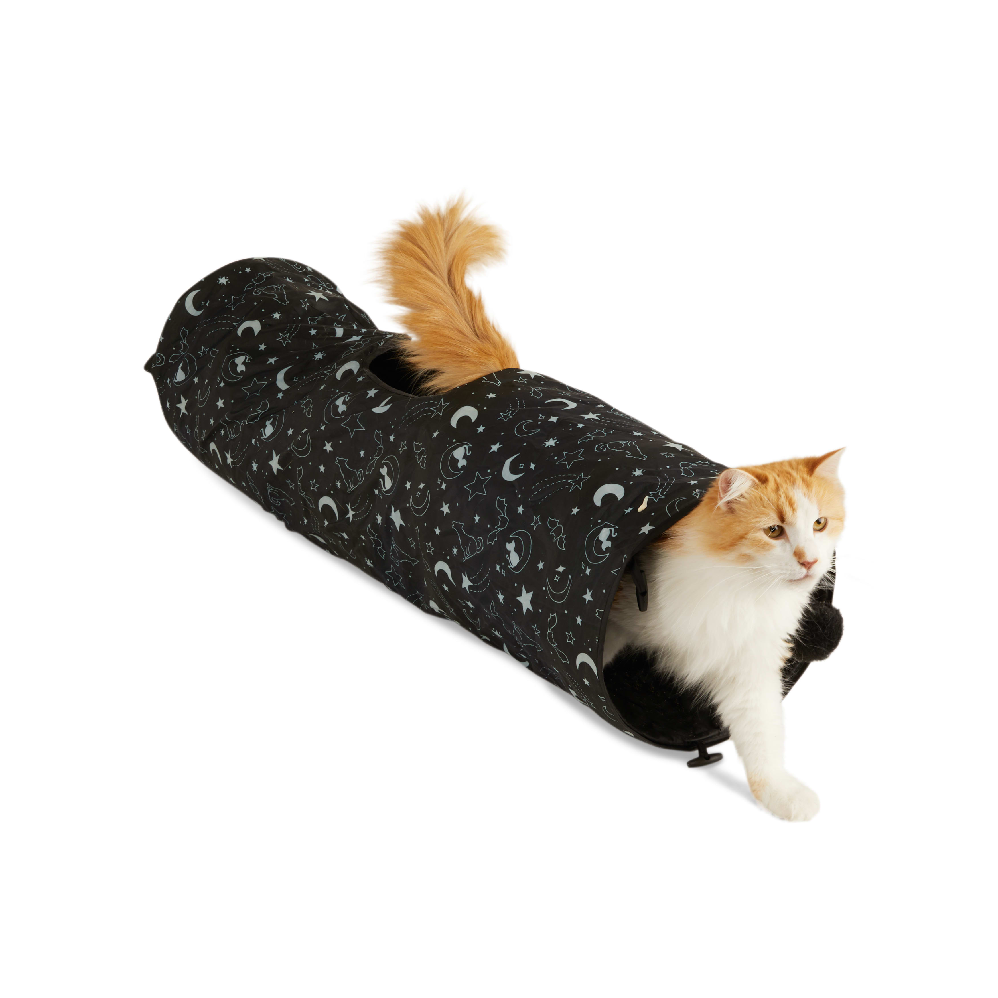 Black 2024 cat tunnel