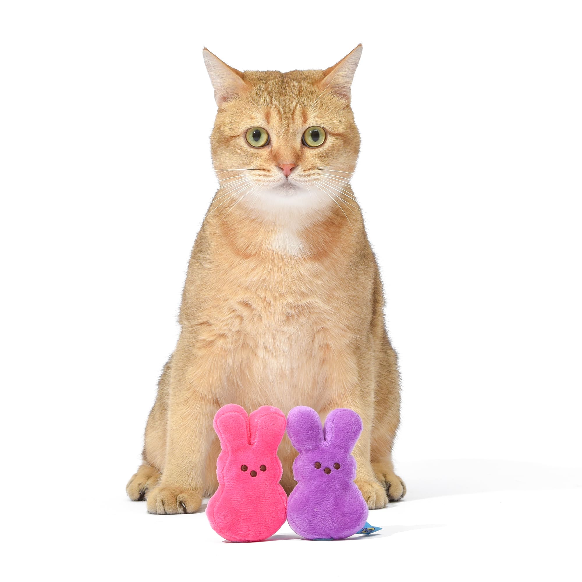 Peeps Mini Plush Bunny Dog Toy, 2 Pack (Pink & Purple)