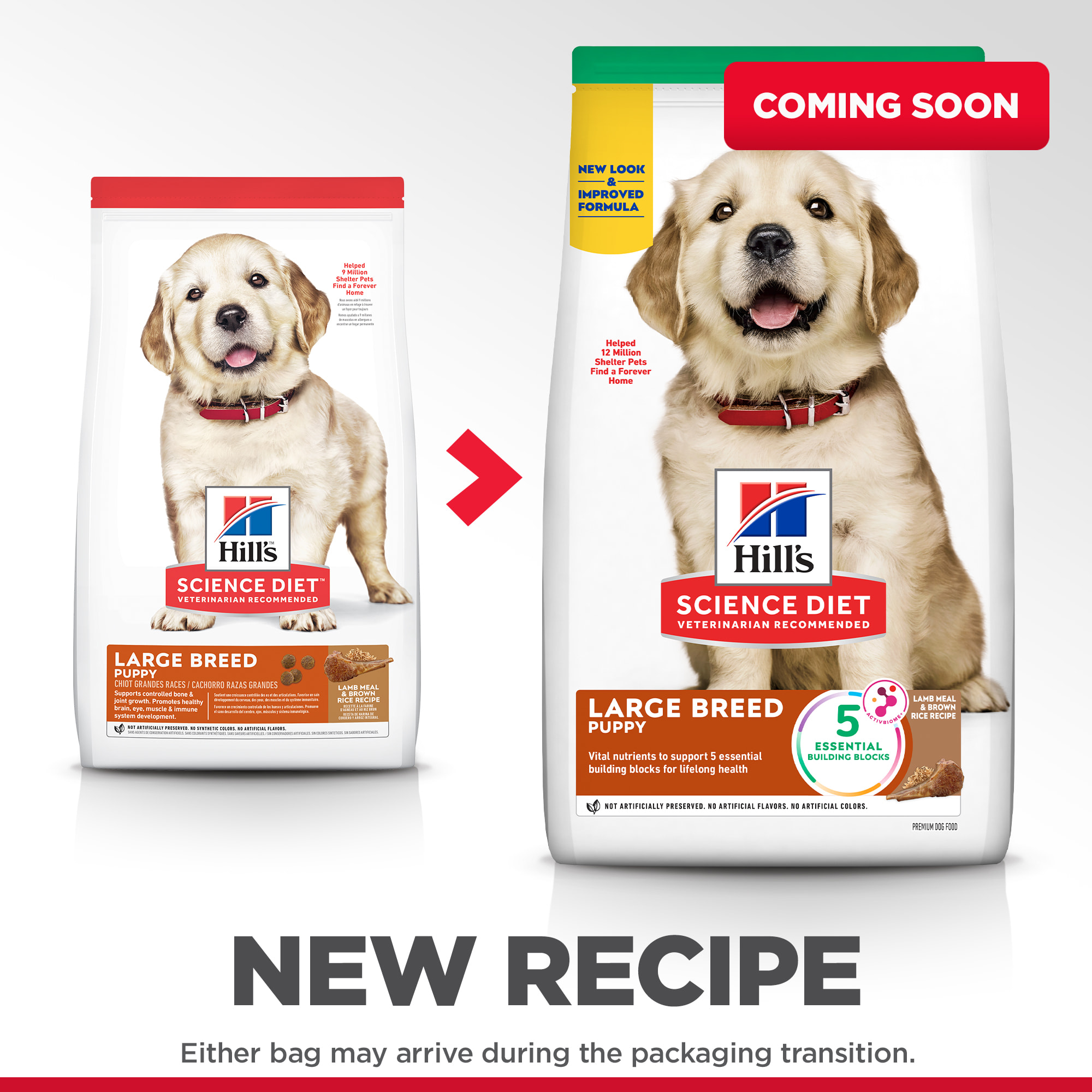 Science diet large breed 2025 puppy lamb and rice