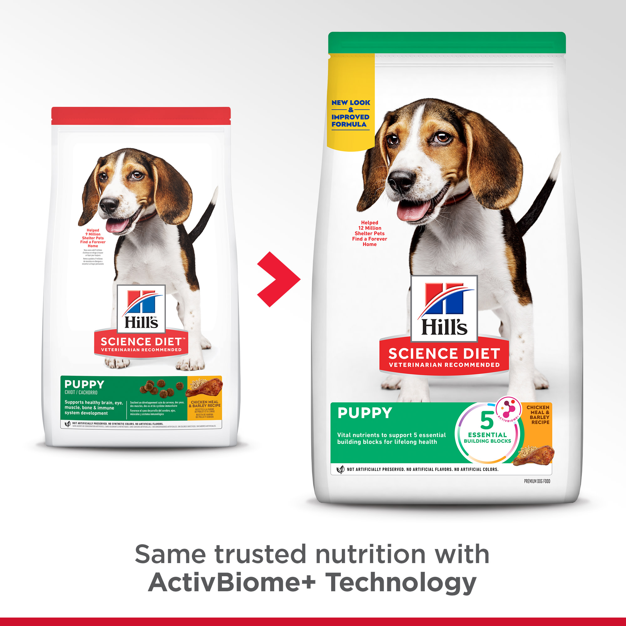 Petco science hot sale diet puppy