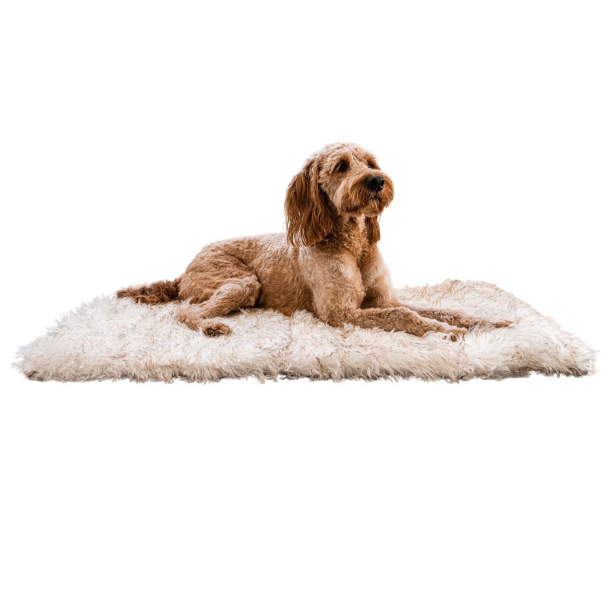 Paw Brands Puprug Faux Fur Portable Orthopedic Luxury Dog Bed : Target