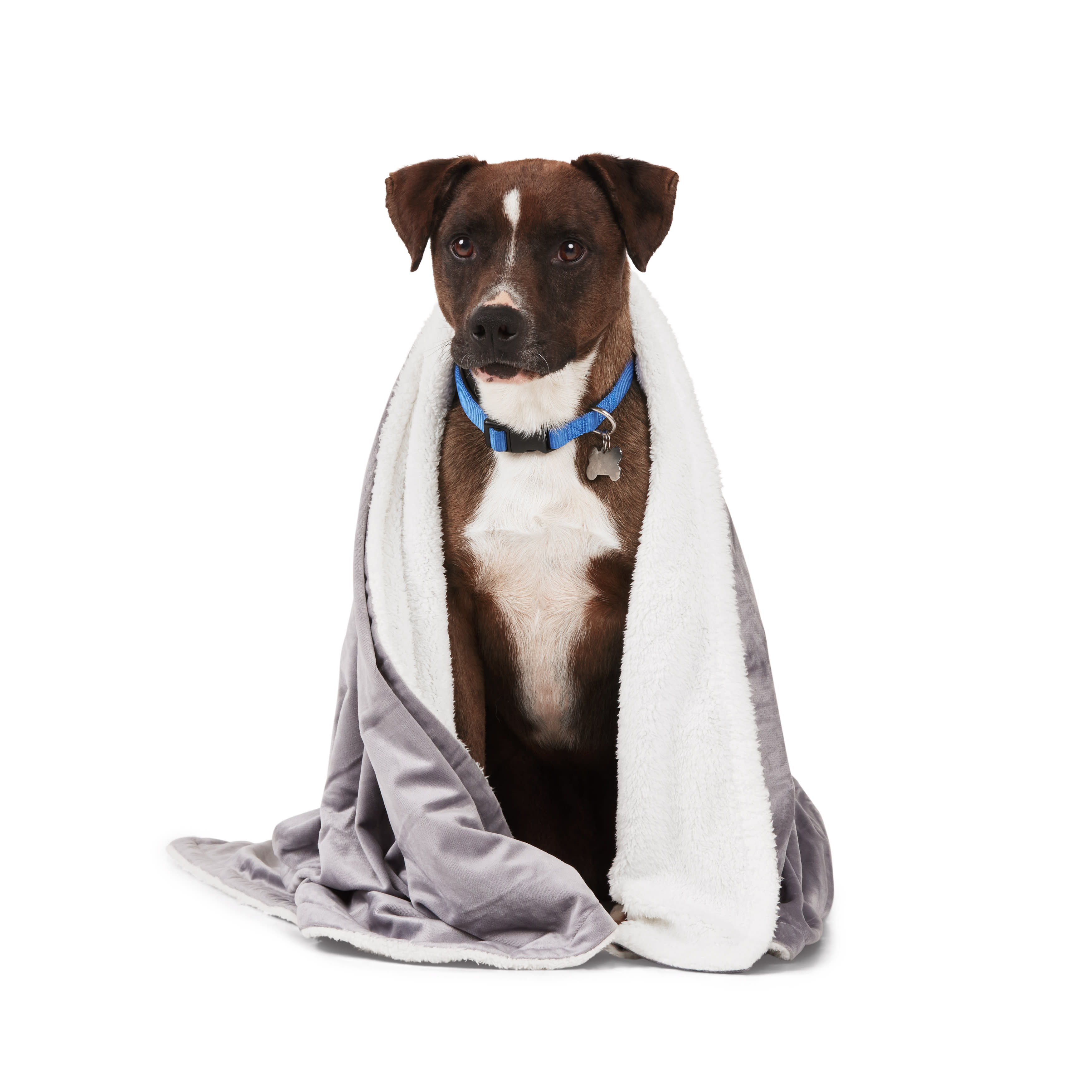 EveryYay Essentials Reversible Throw Dog Bed 50