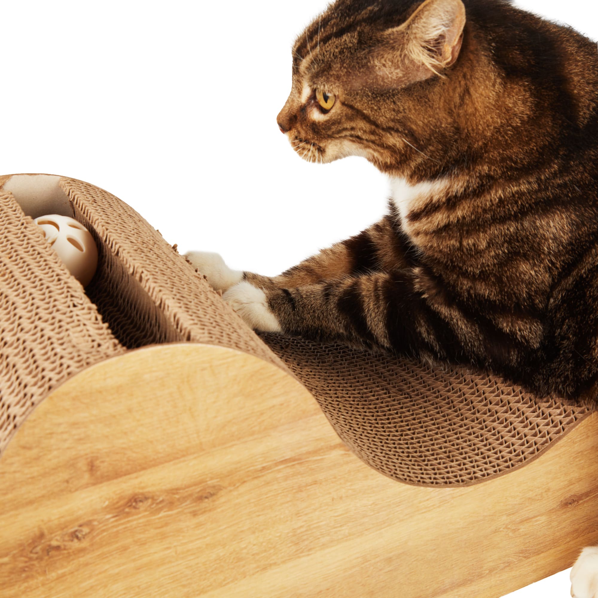 Dual Texture EveryYay Scratchn' The Surface Cardboard Wave Cat