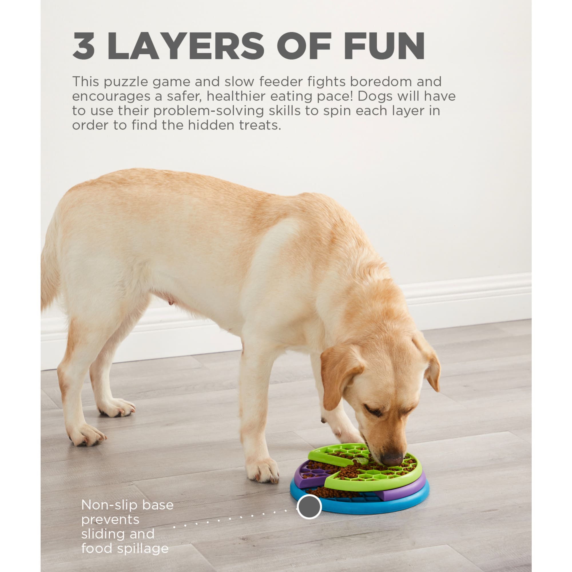 Outward Hound Lickin-Layers Puzzle Slow Feeder Bowl, 1.5 Cups | Petco