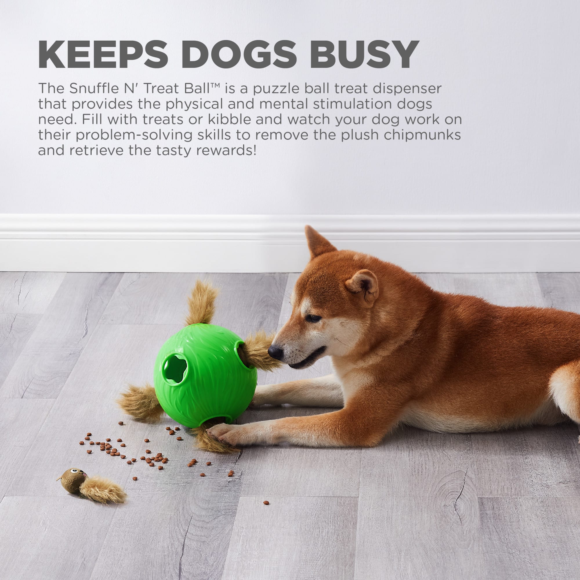 INTERACTIVE PET SNUFFLE BALL – Posh Pet Supply Co.