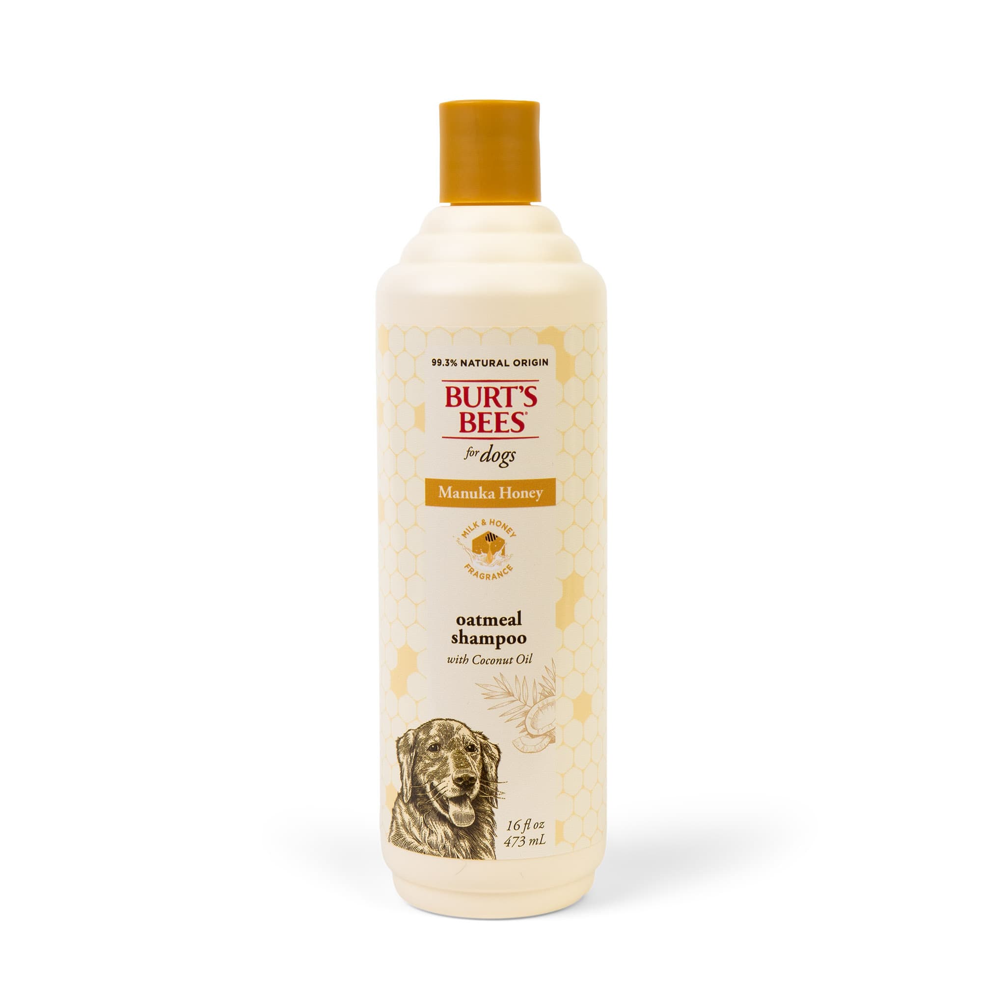 Oatmeal and 2024 honey dog shampoo