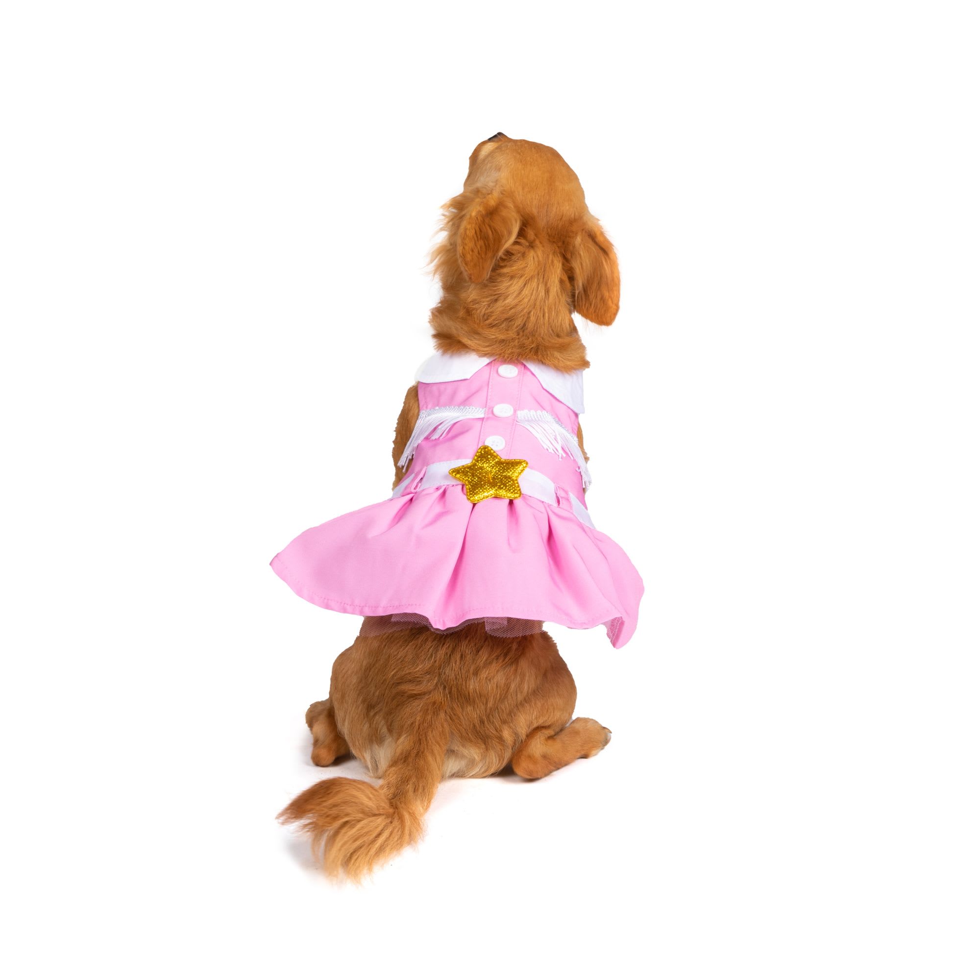 Petco best sale dog dresses