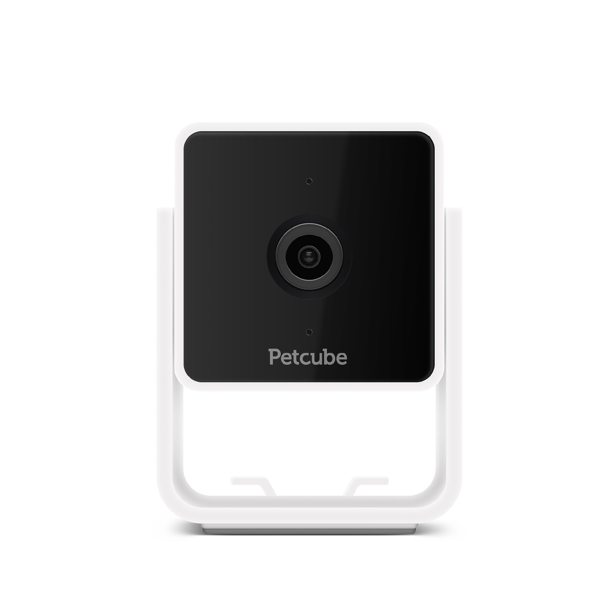 petco pet camera