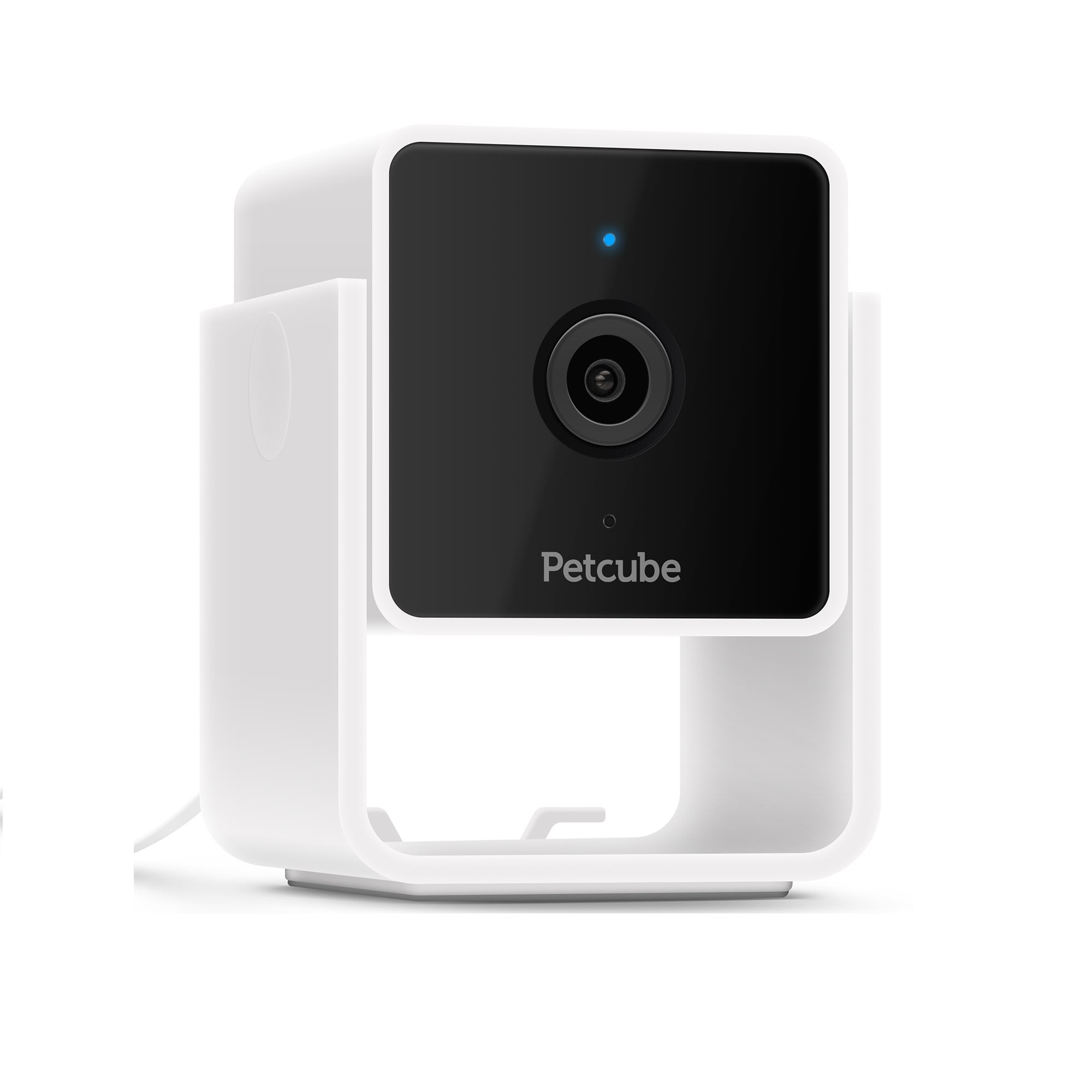 Petco petcube 2025