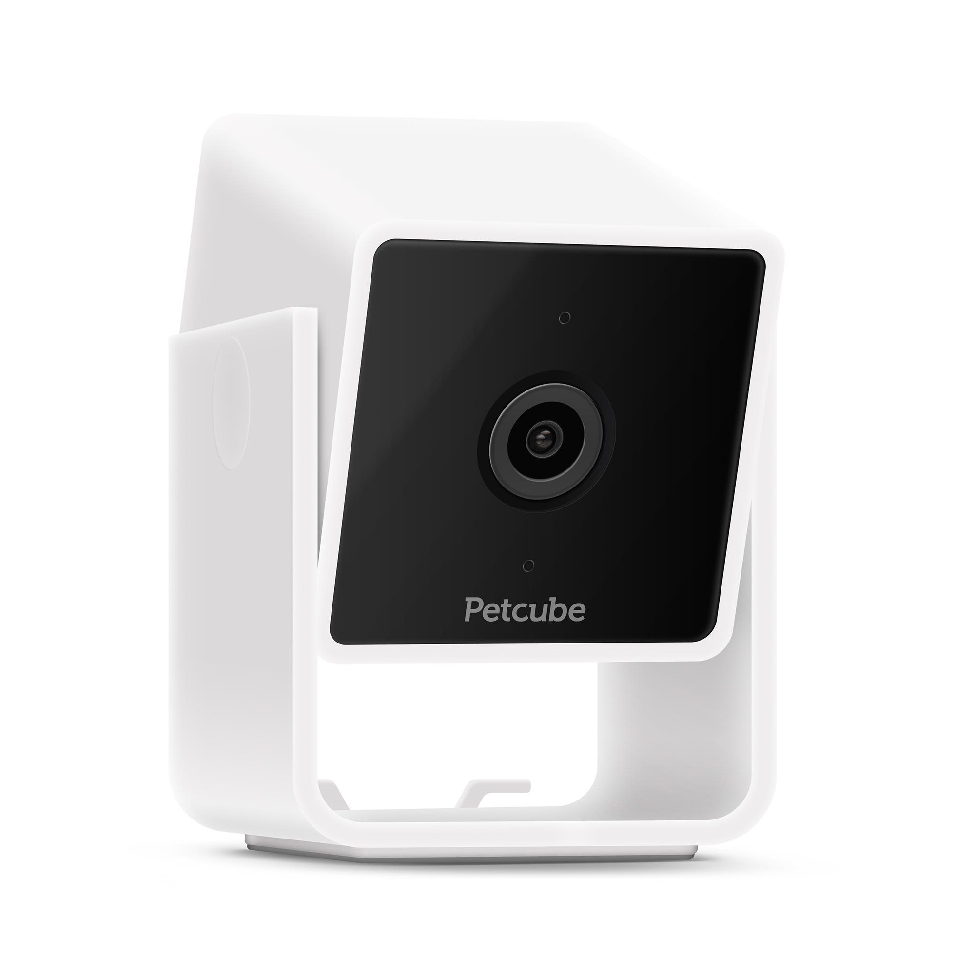 Petco petcube sales