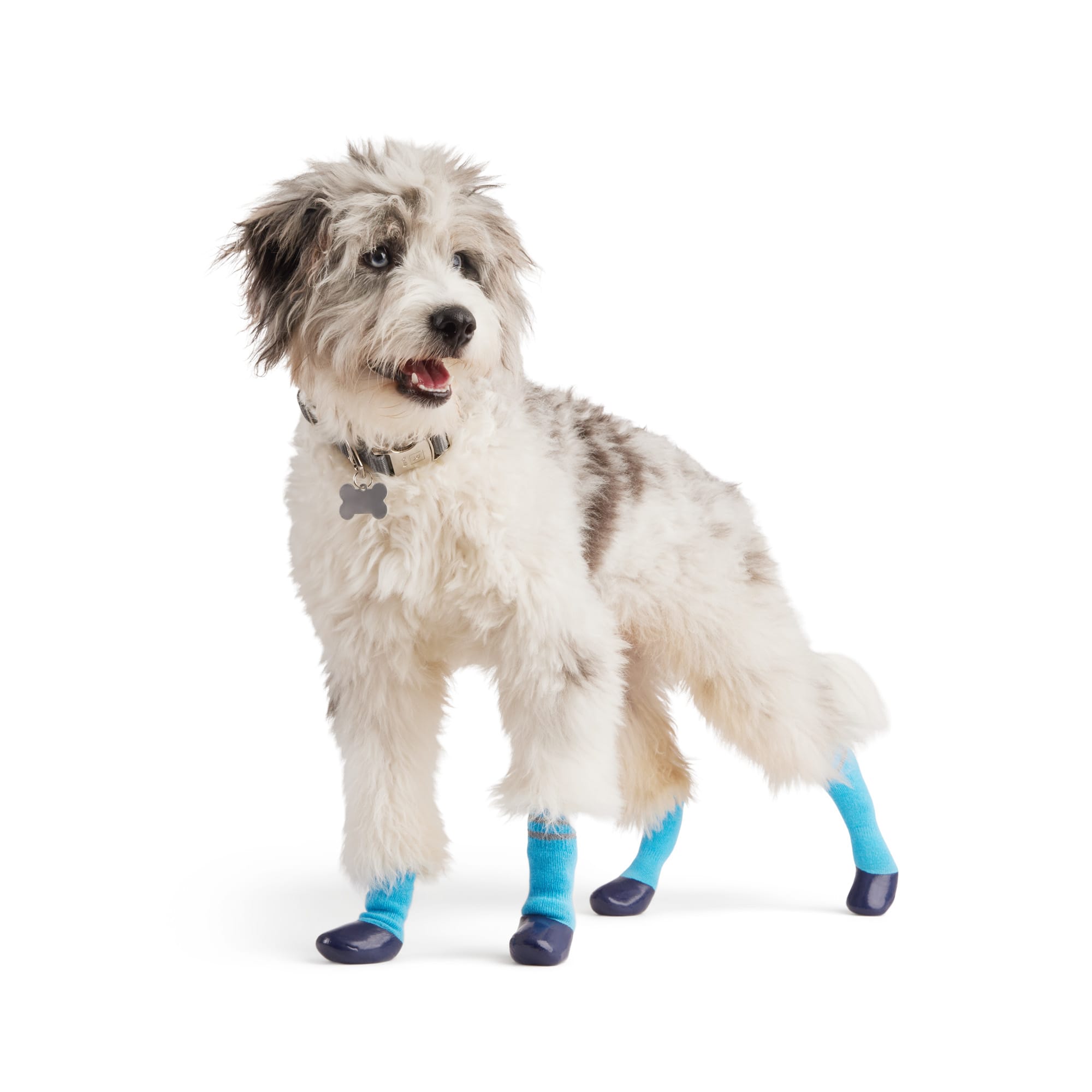 Non slip 2025 dog socks petco