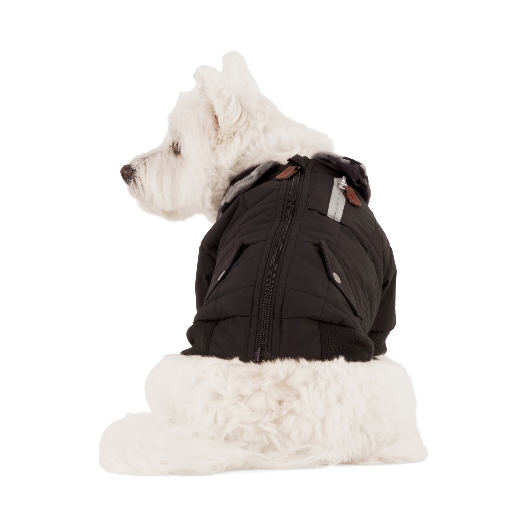 Reddy Bomber Jacket for Dogs, X-Small, Black | Petco