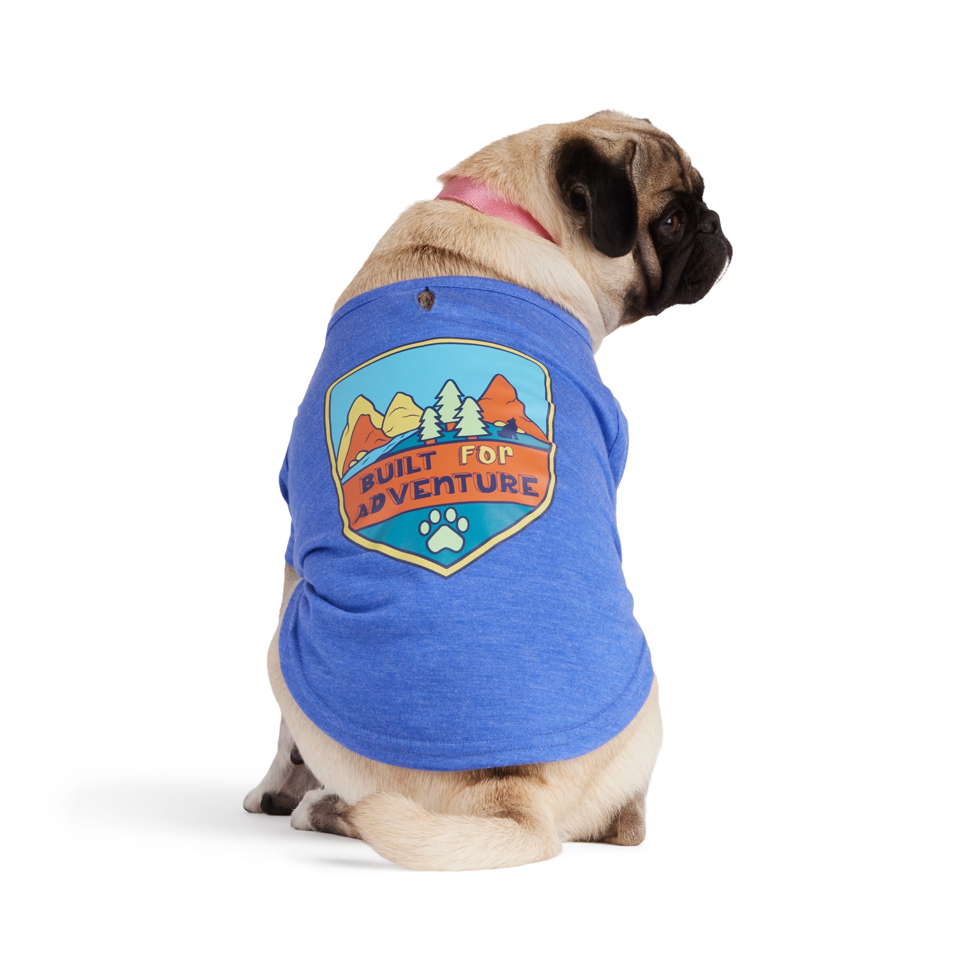 YOULY Small Dog Blue Adventure Tee for Outdoor Fun & Style