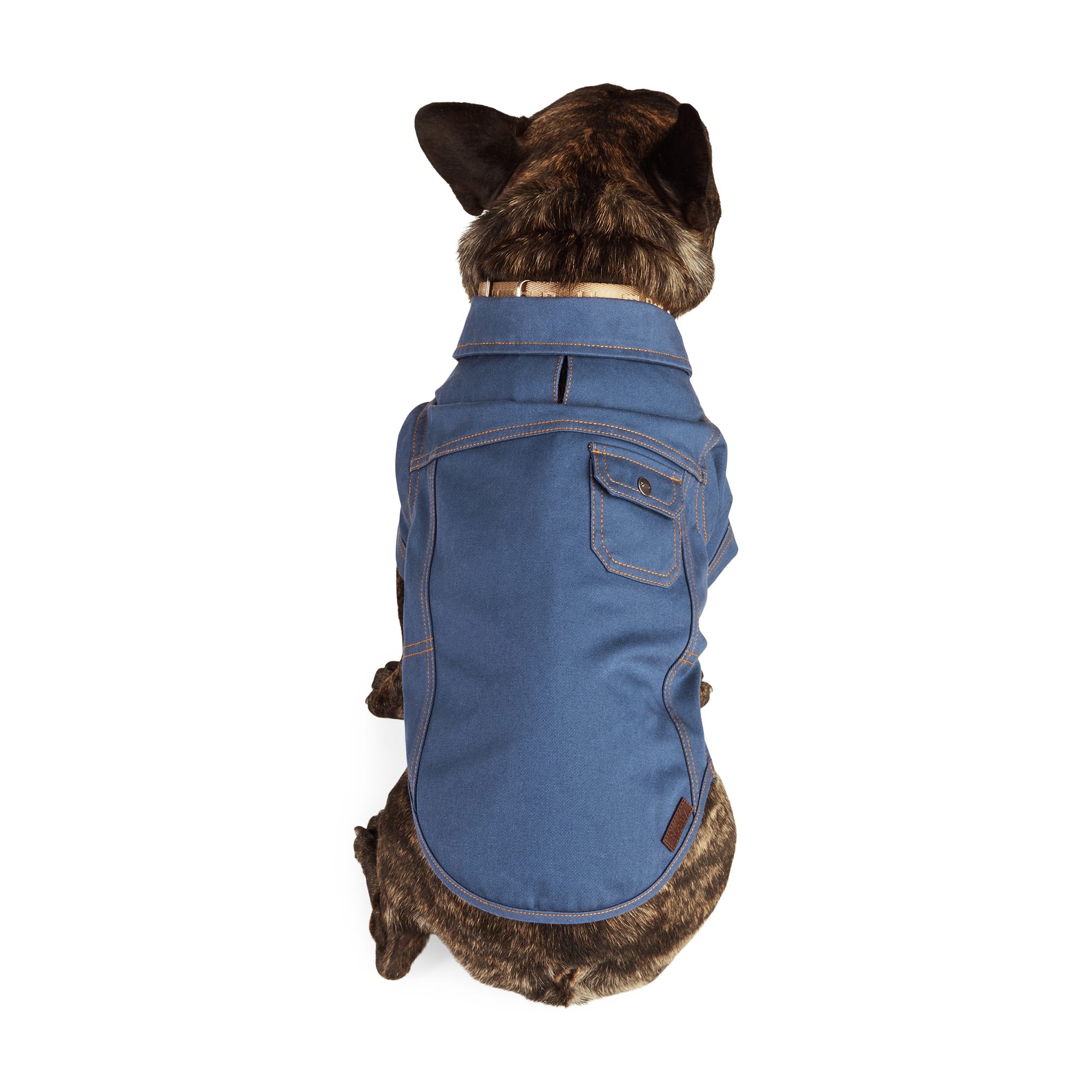 Reddy Blue Twill Medium Dog Shirt with Lead Hole & Stretch Fabric