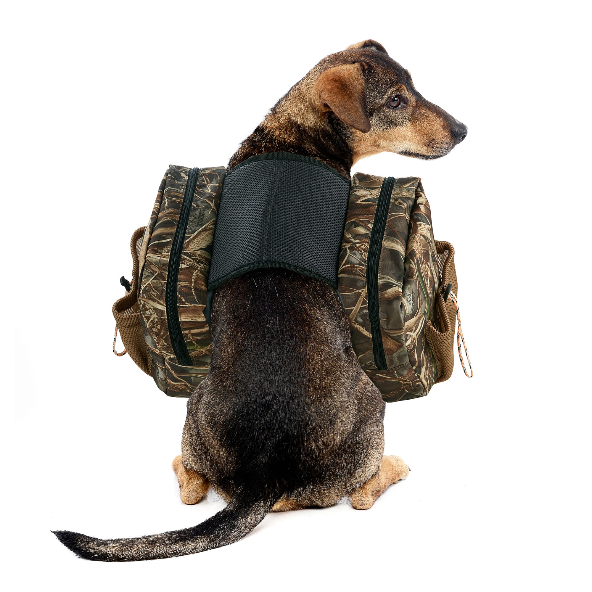 Hunting 2025 dog backpack