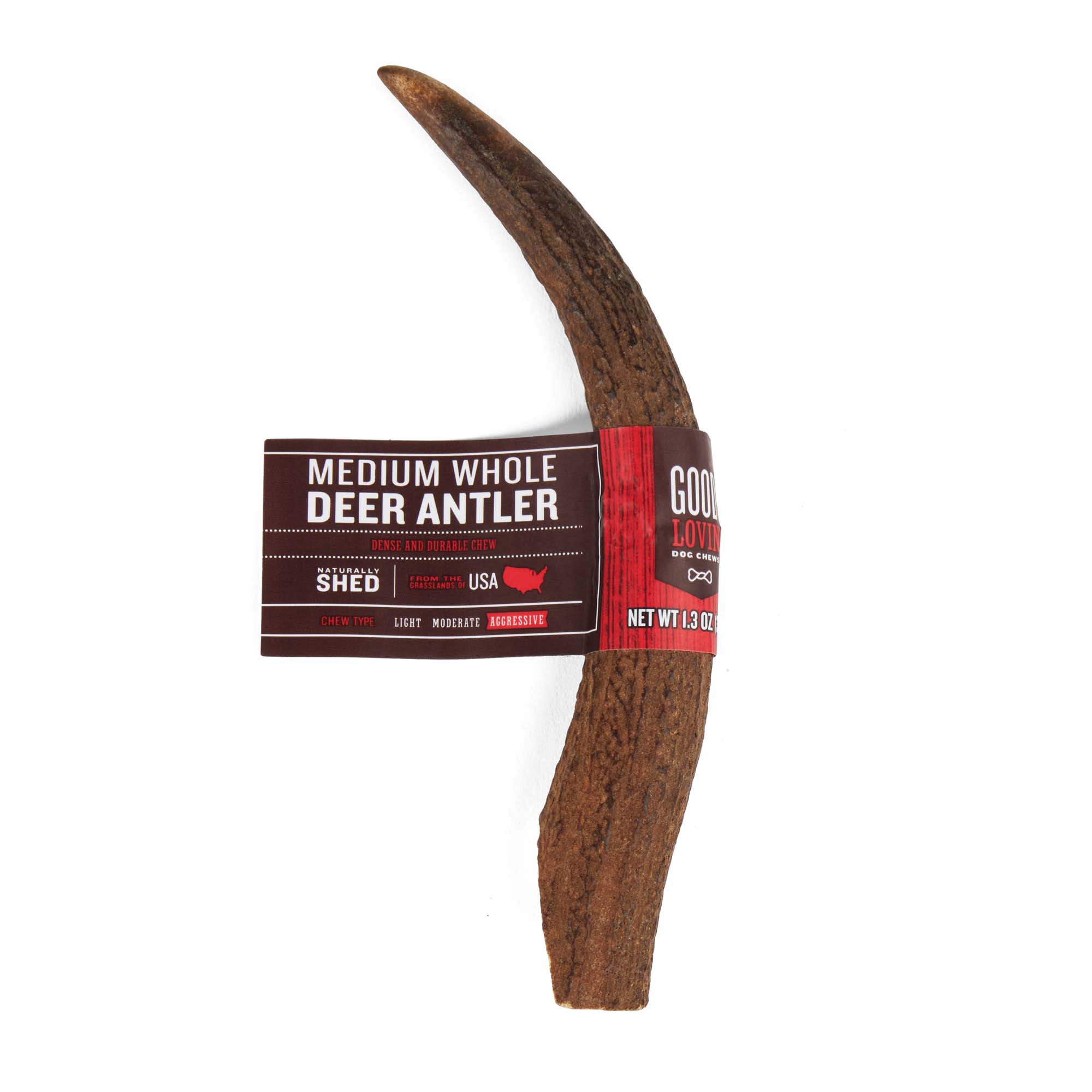 Deer antler shop chews for dogs