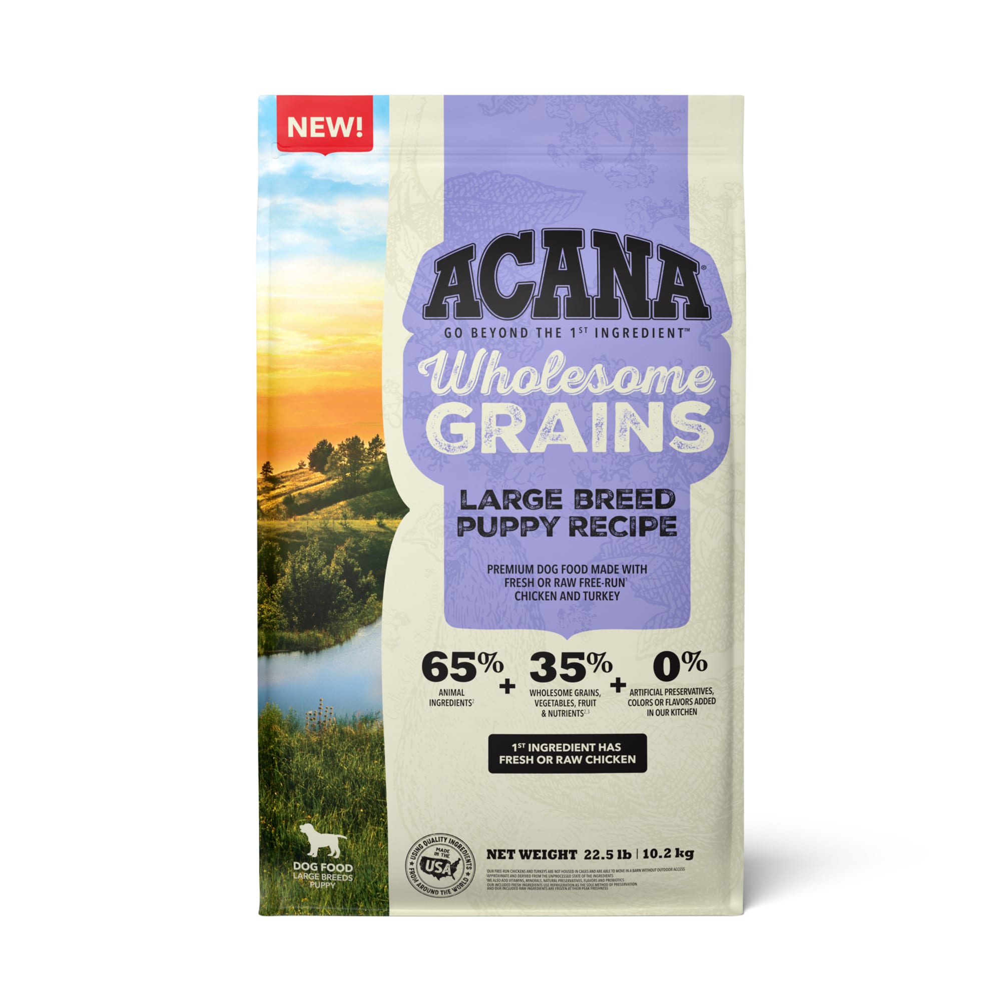 ACANA Wholesome Grains Puppy Large Breed Dry Food 22.5 lbs