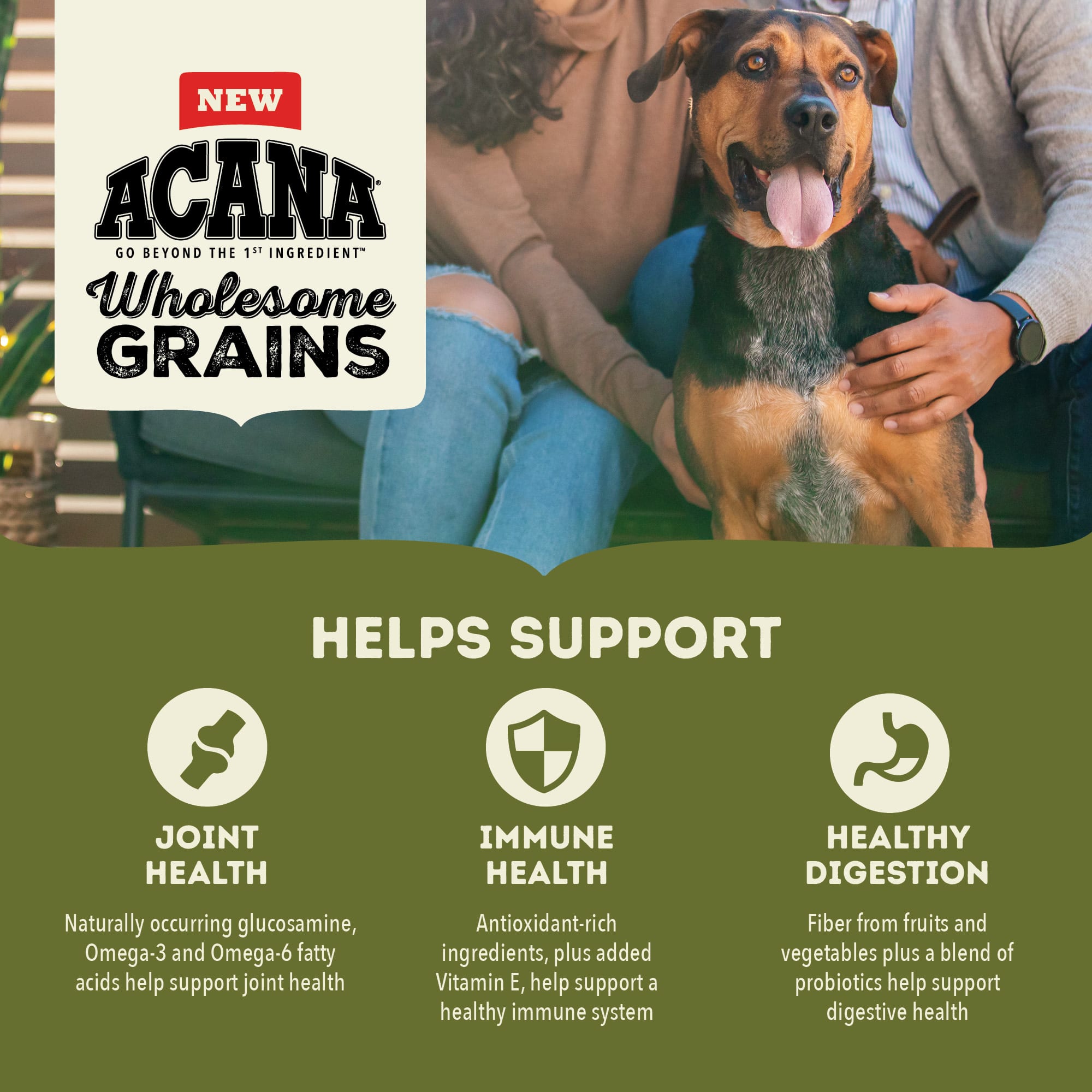 ACANA Wholesome Grains Large Breed Adult Dry Dog Food, lbs