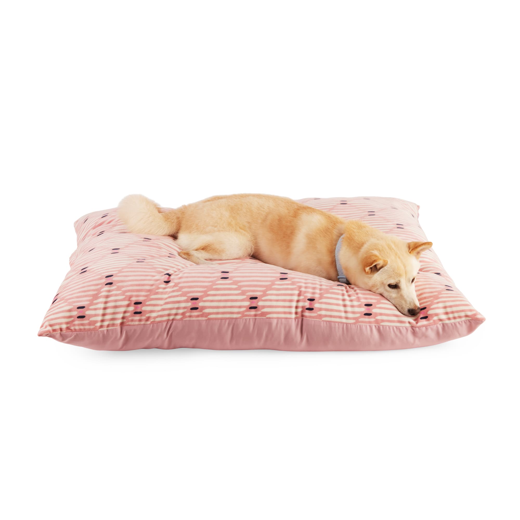 Cute Pink Dog Beds Petco