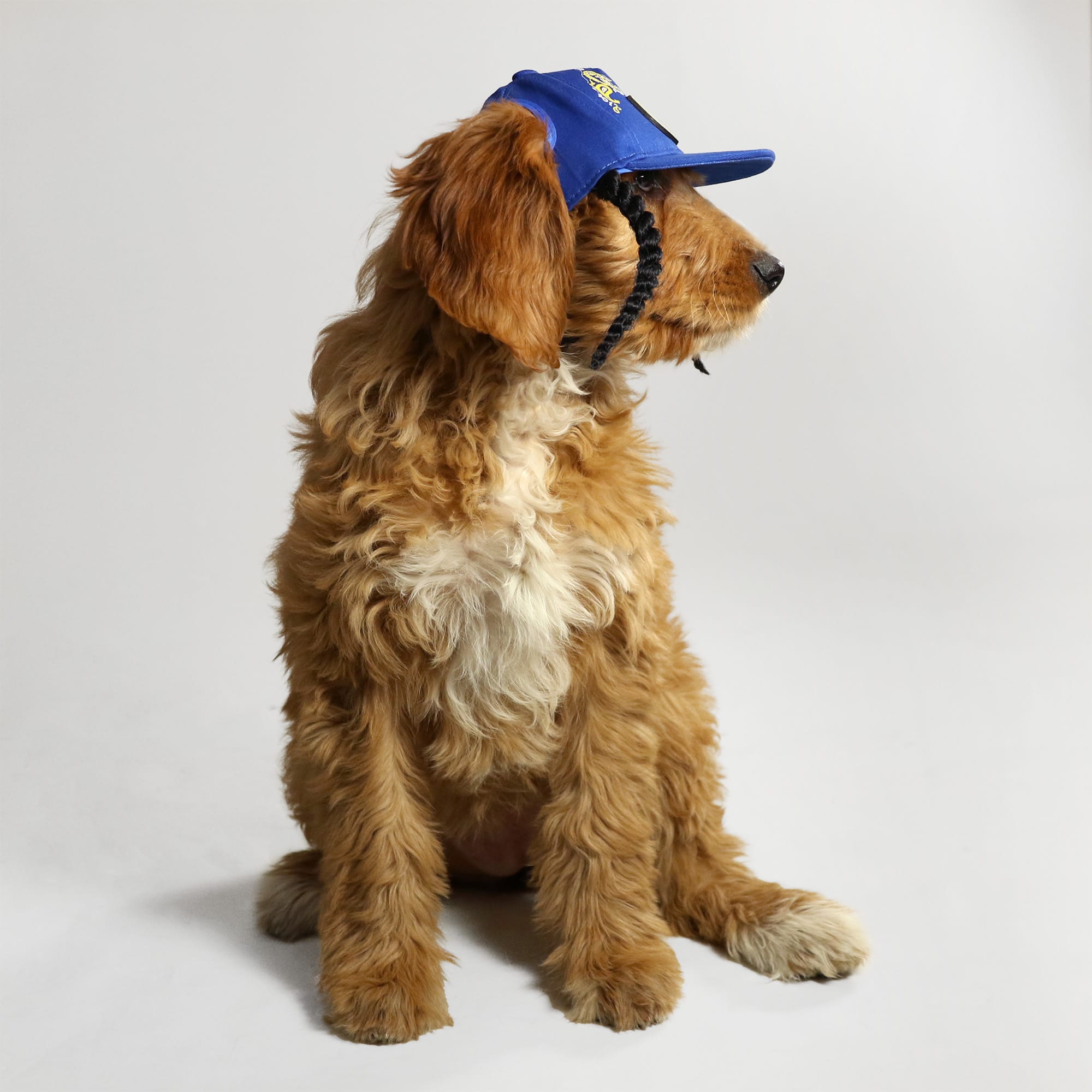 Snoop Doggie Doggs Blue Cotton Pet Baseball Hat XS
