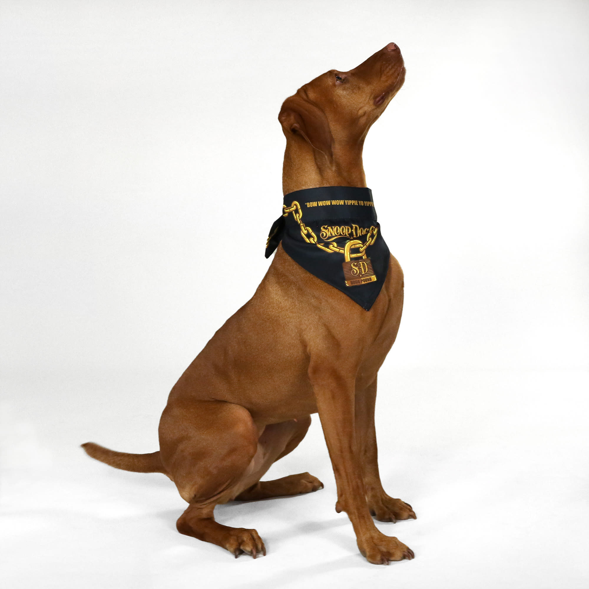 Snoop Doggie Doggs Blue Halftime Off the Chain Deluxe Pet Bandana X Small Set of 2