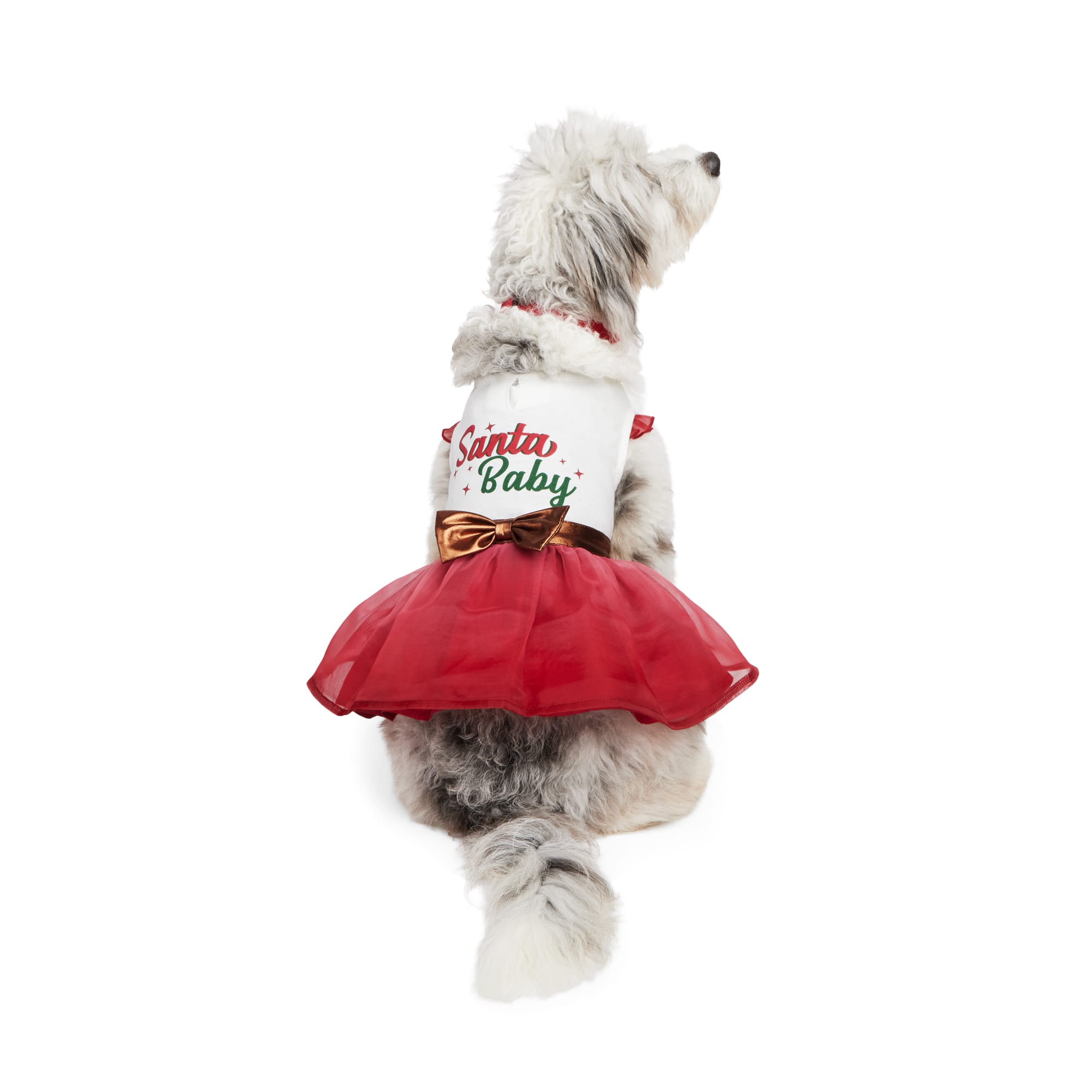 Santa costume for on sale dog