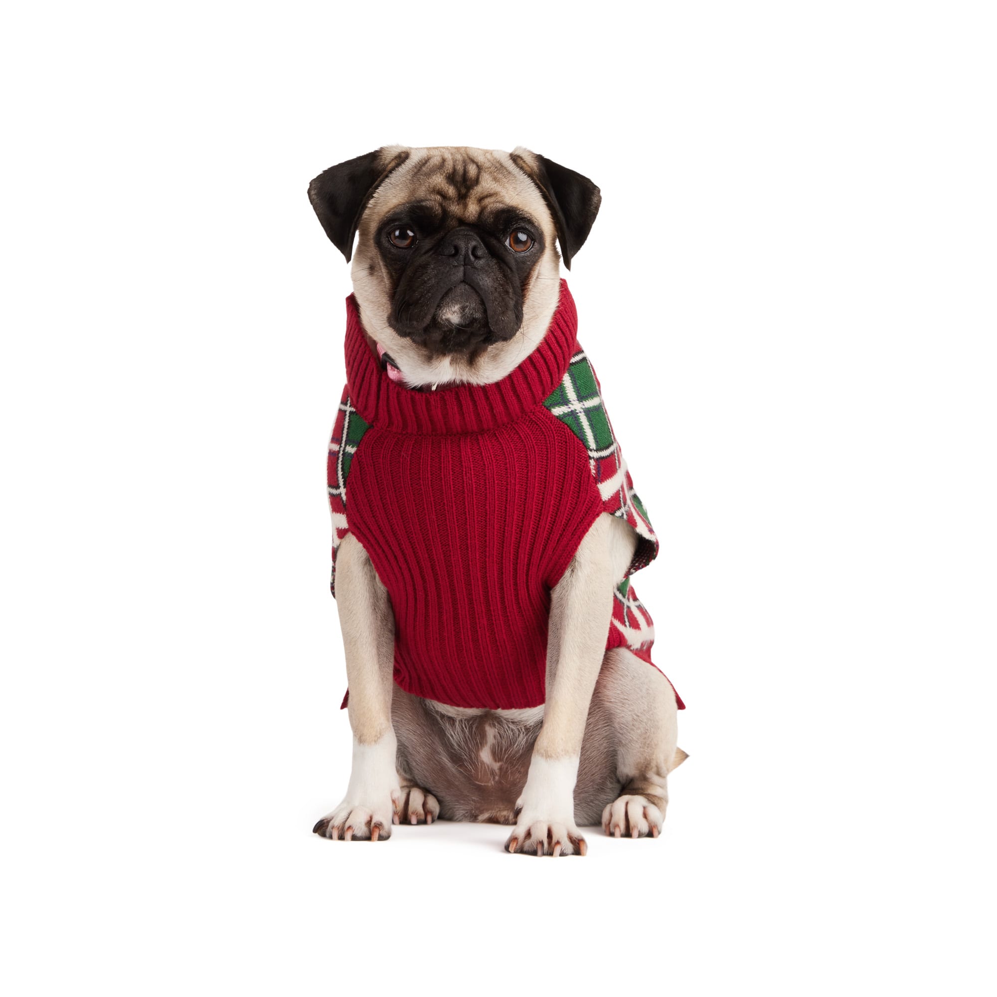 Petco christmas outlet sweaters