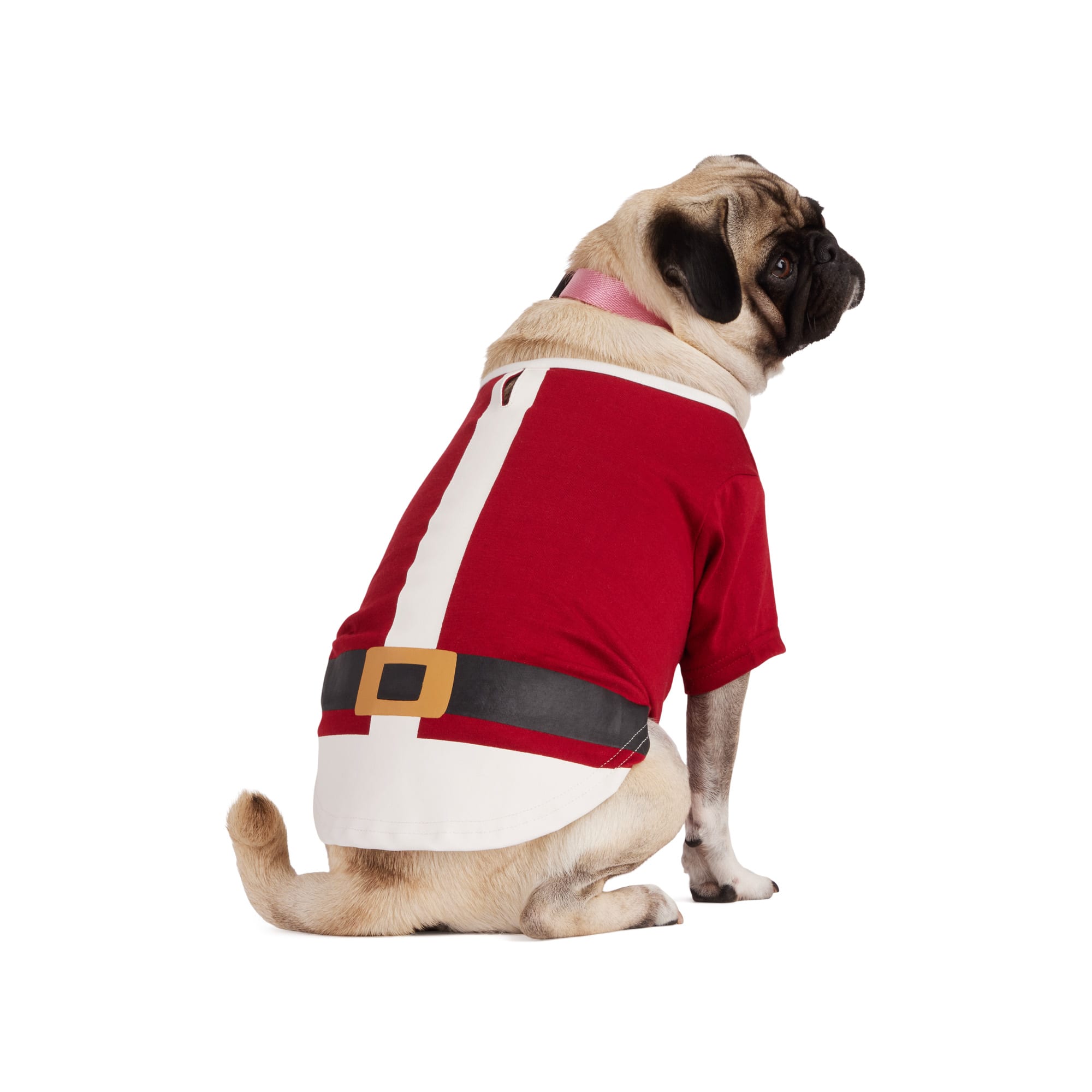 Petco dog shop christmas outfits