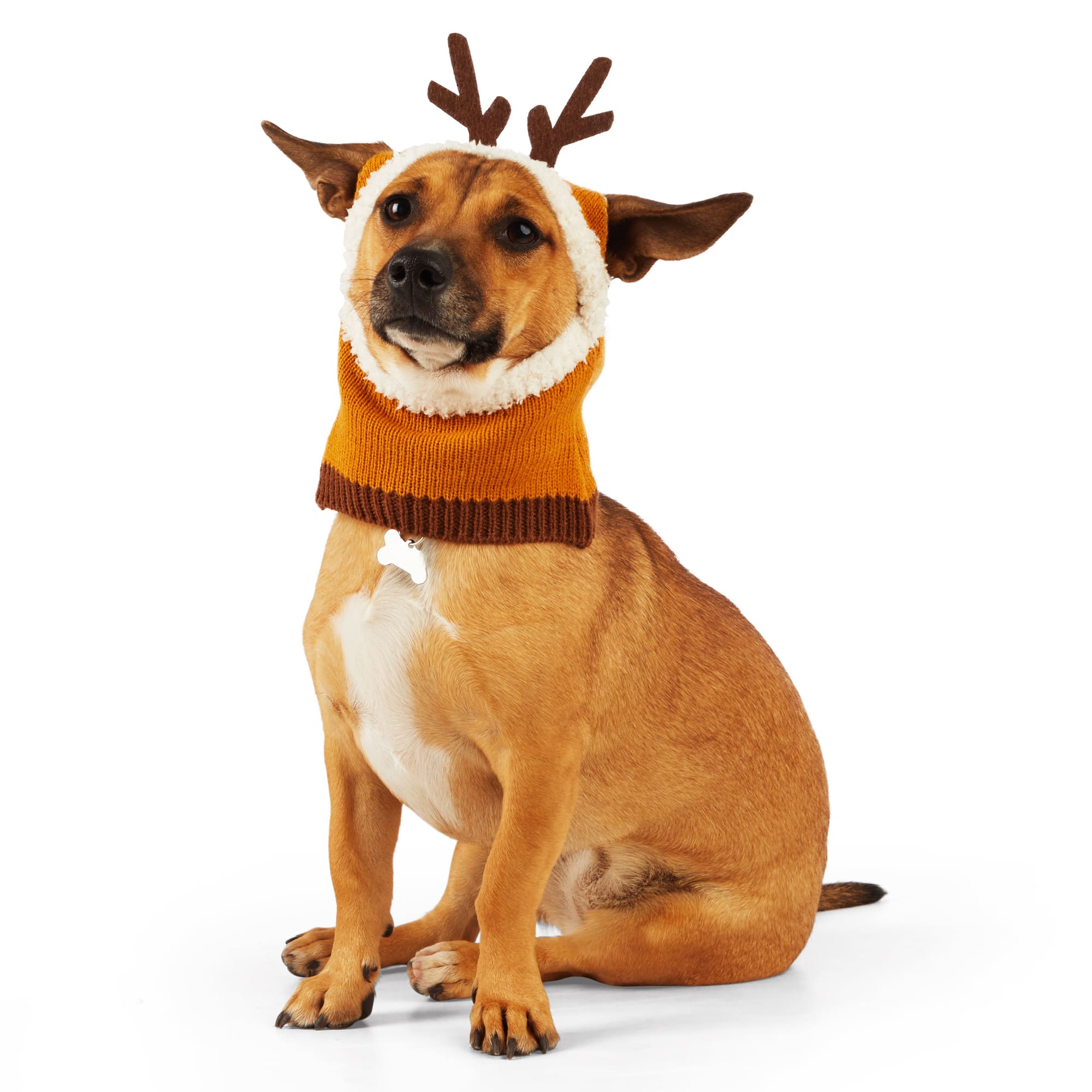 Petco dog christmas outfits sale