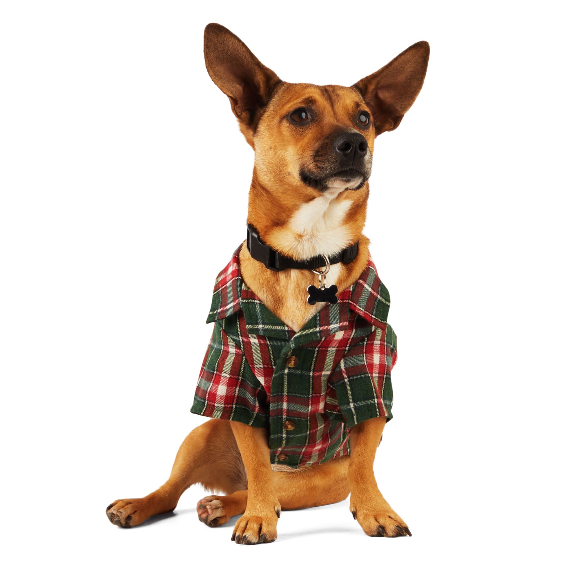 Dog 2025 plaid shirt