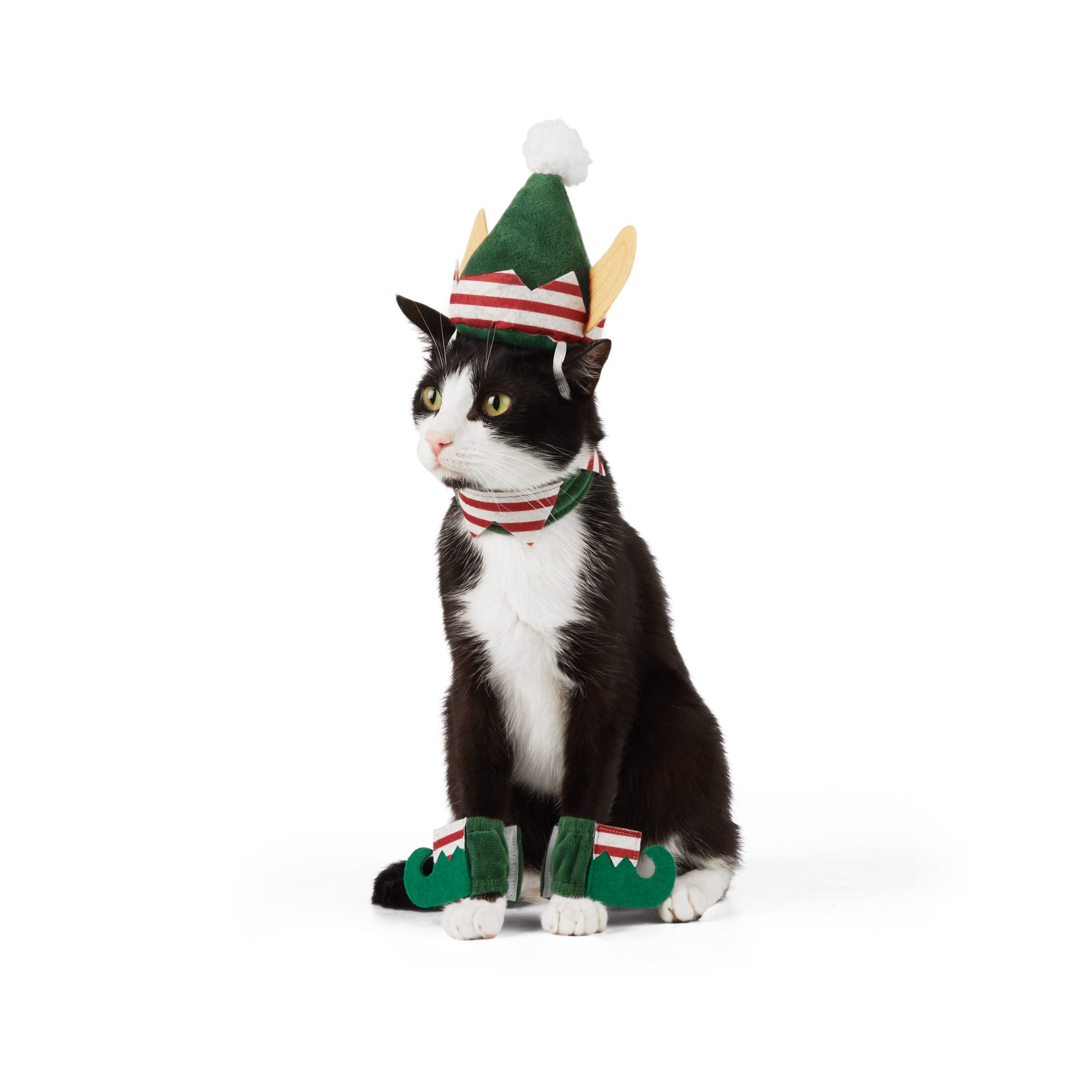 Cat sale elf costumes