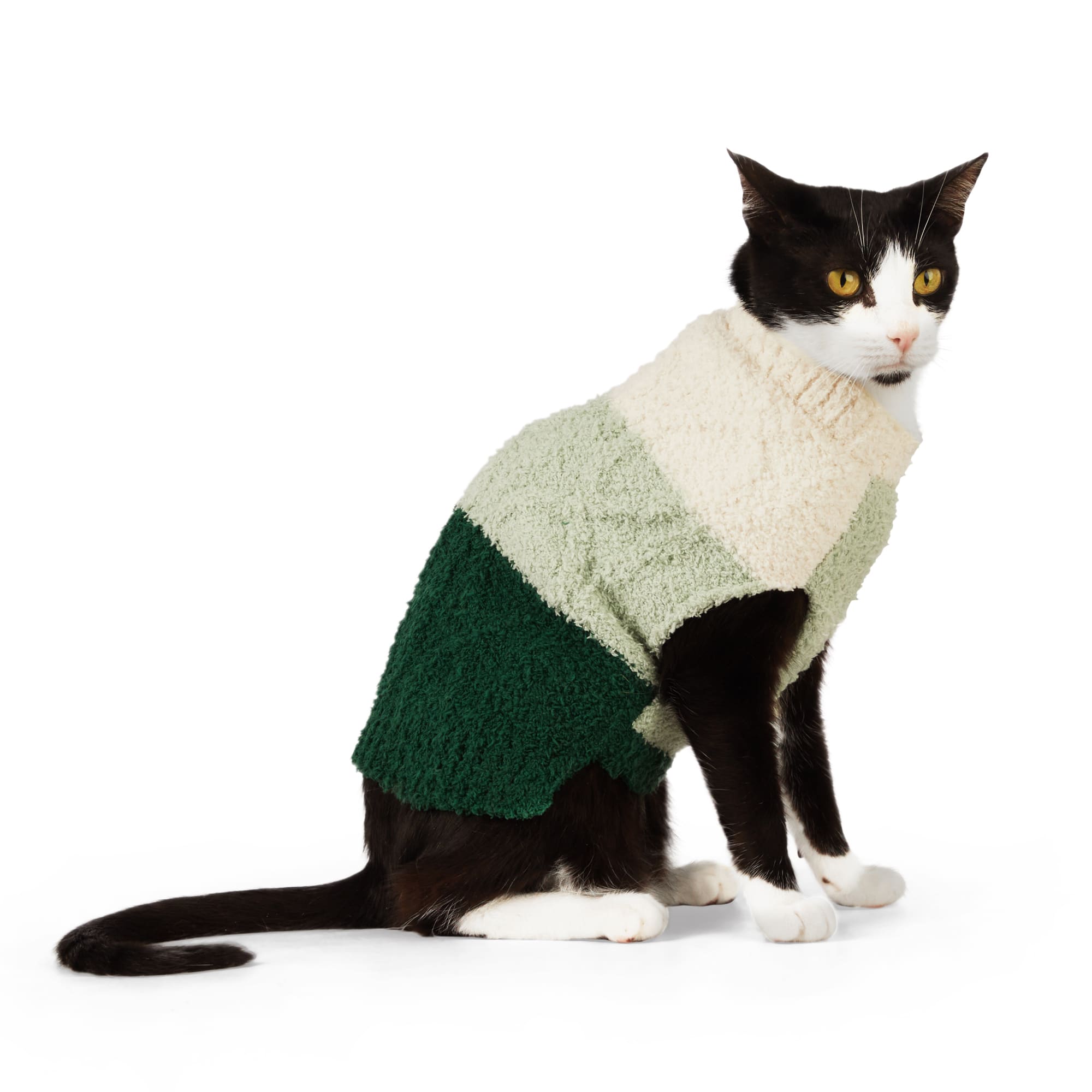 Petco 2025 cat sweater