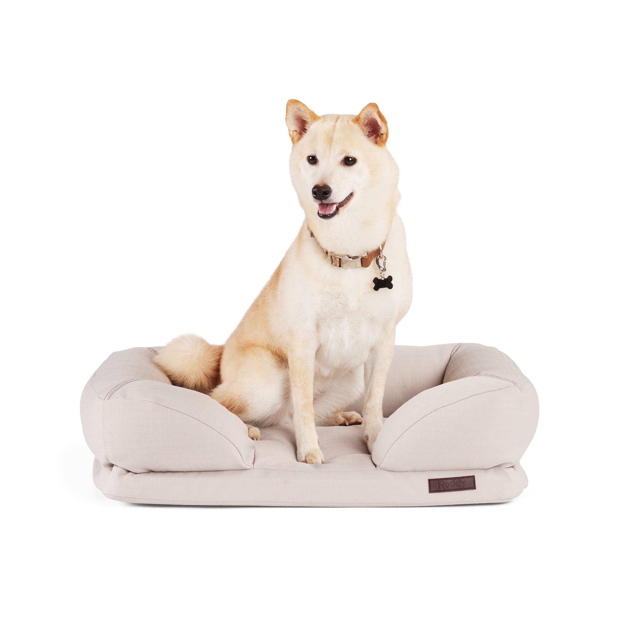 Reddy orthopedic dog store bed