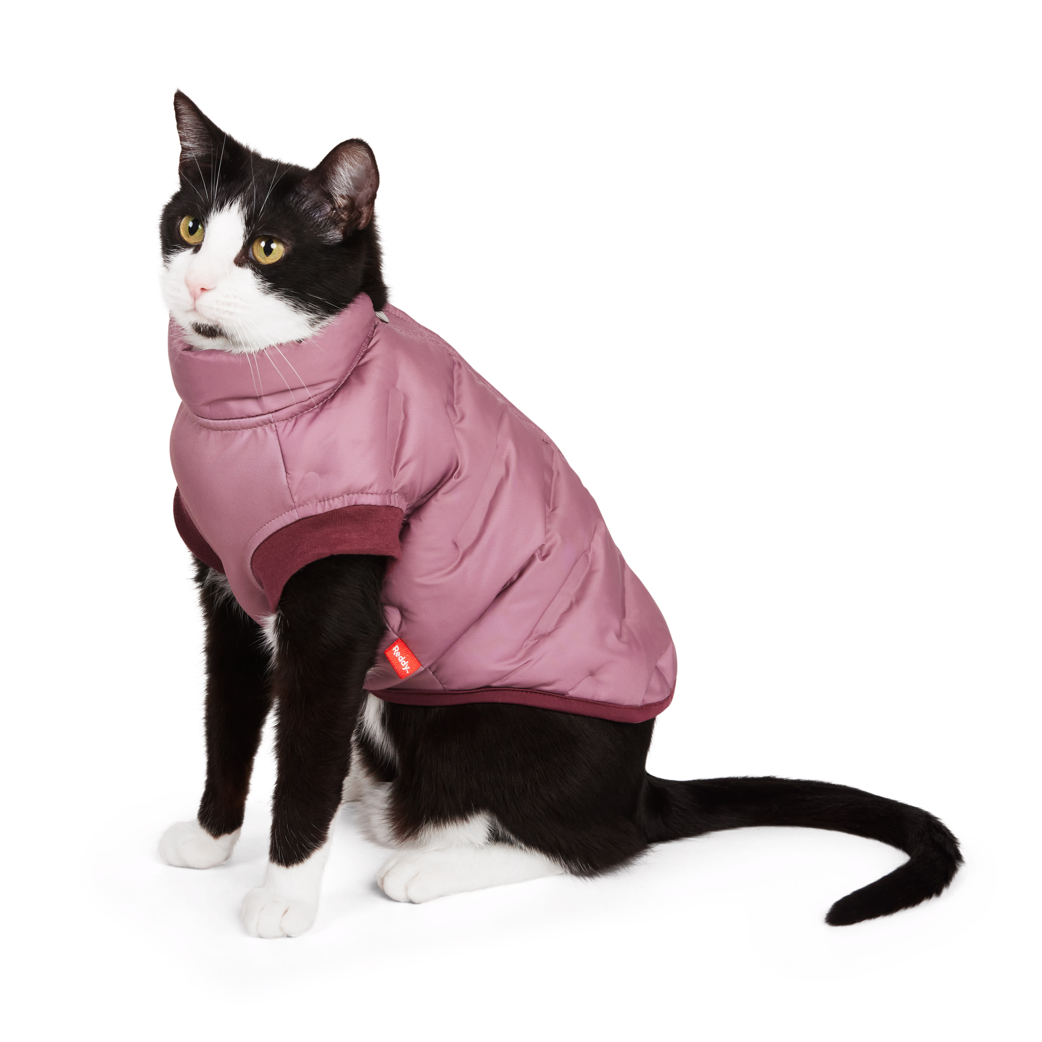 Reddy Burgundy Cat Puffer Jacket – Cozy & Washable