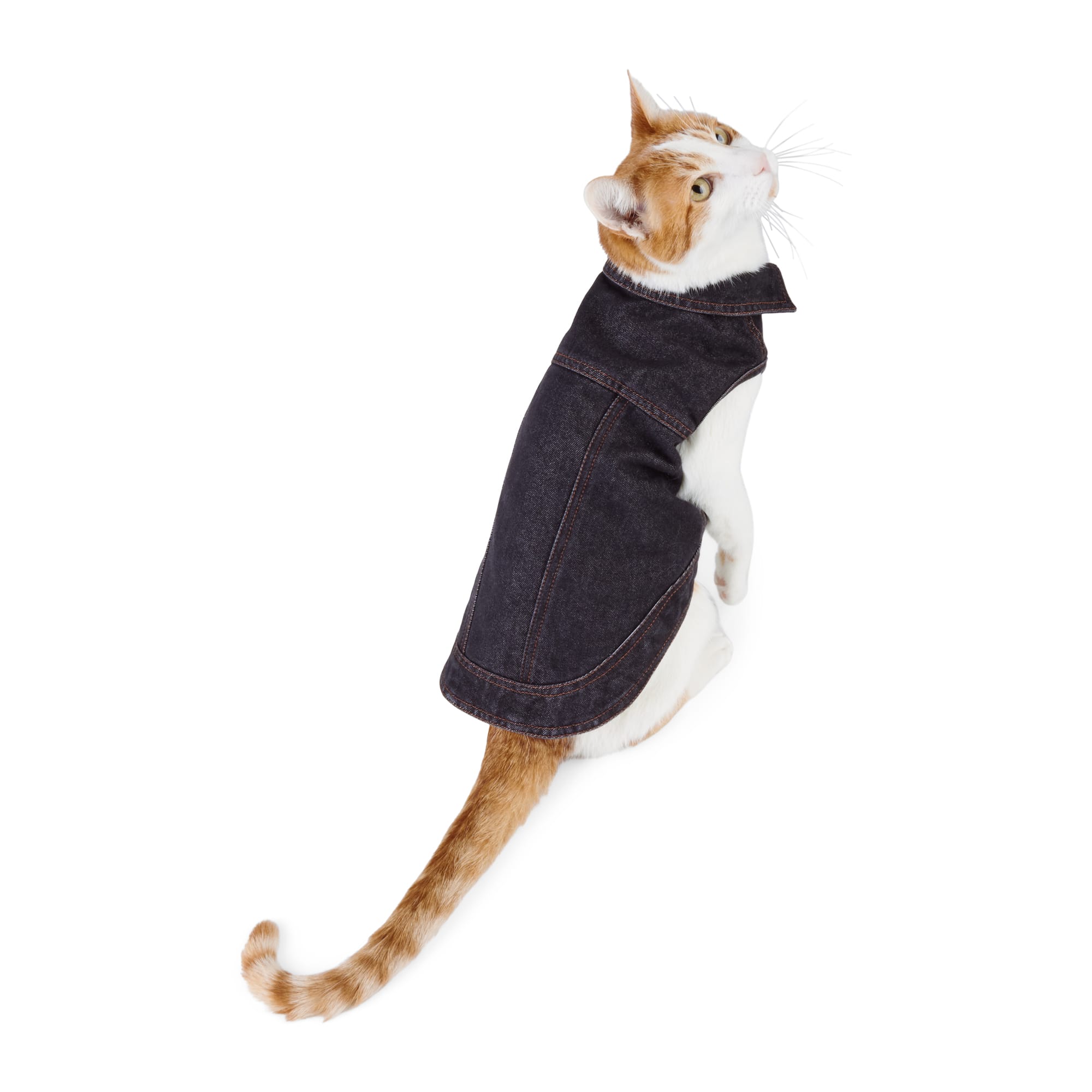 Reddy Black Denim Cat Jacket Small/Medium Cozy & Chic