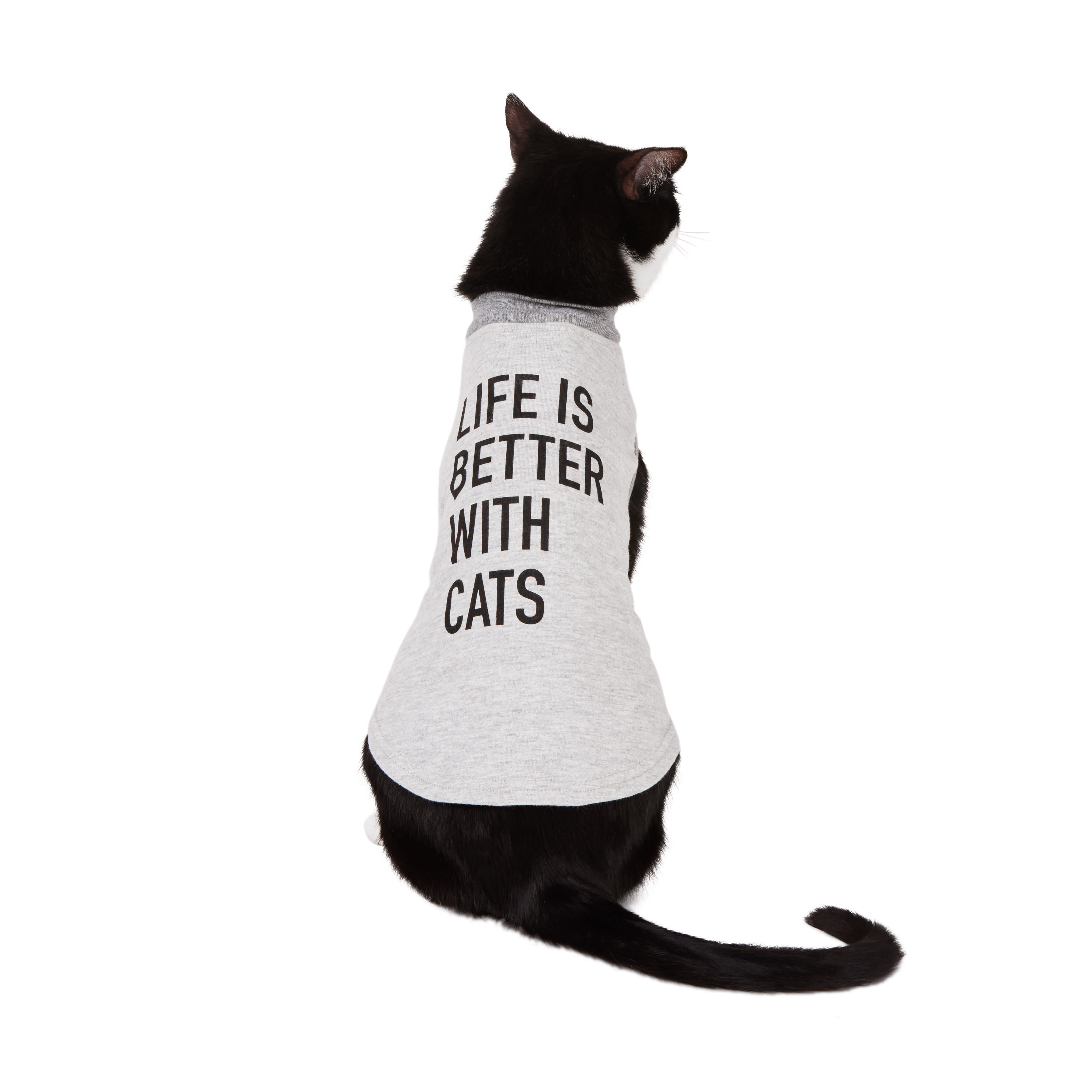 Suitical recovery suit store for cats petco