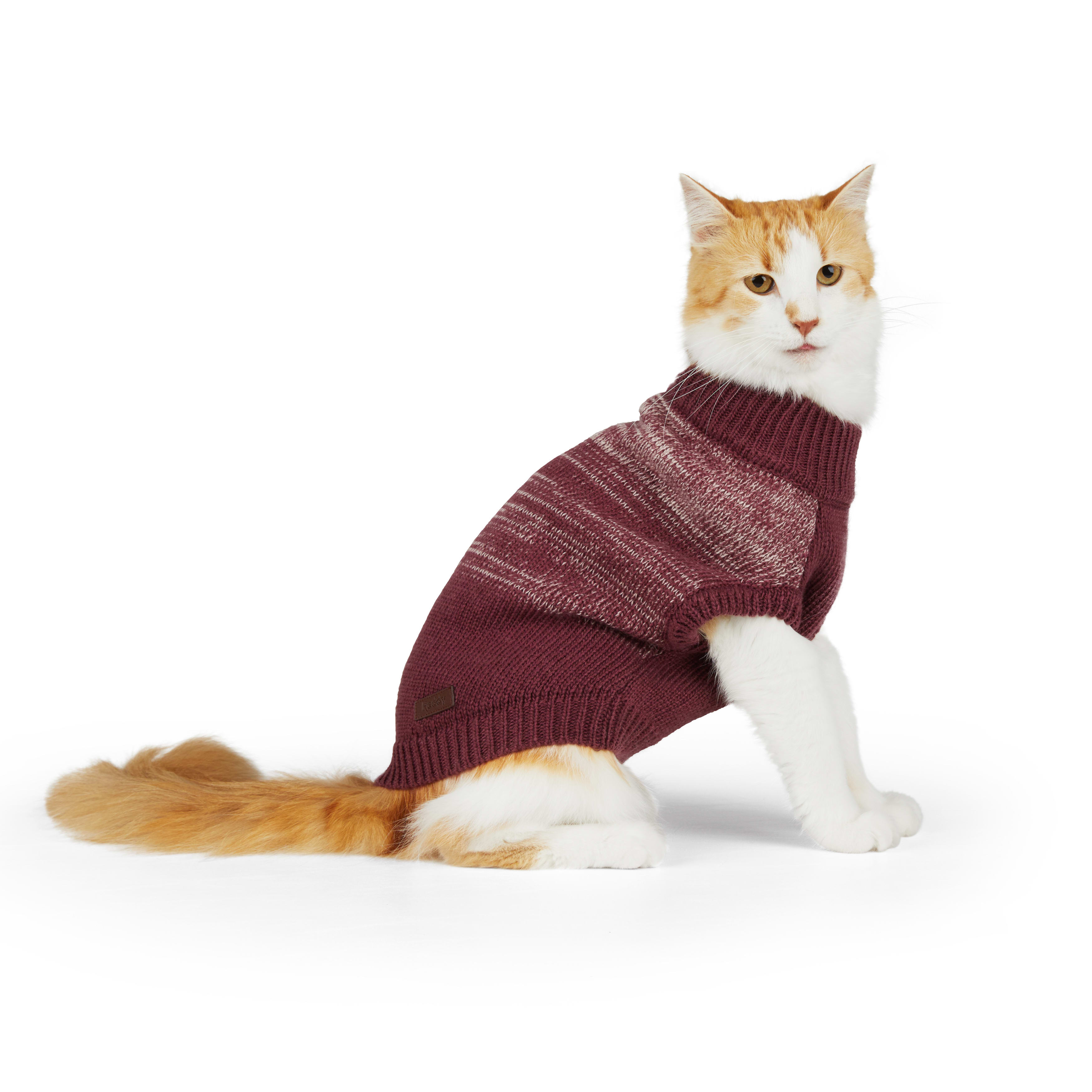 Petco 2025 cat sweater