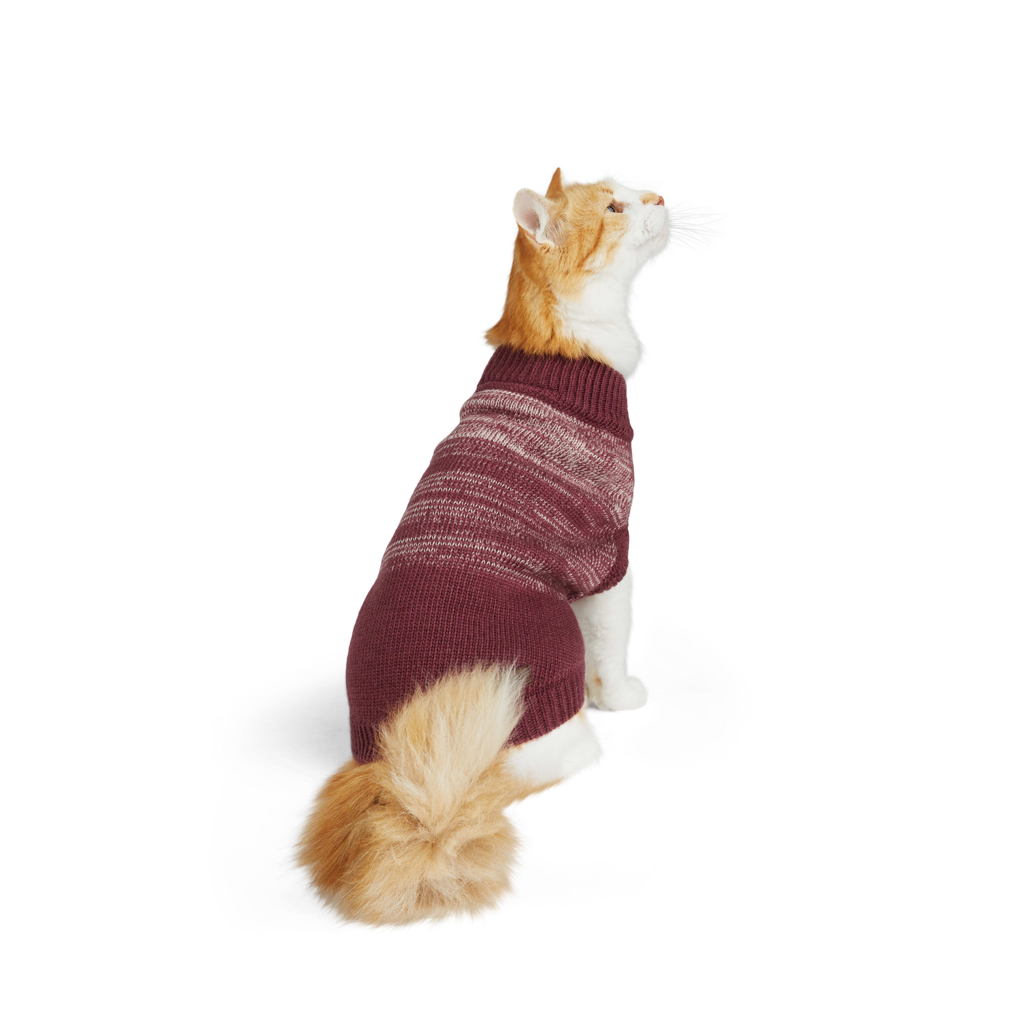 Petco on sale cat sweater