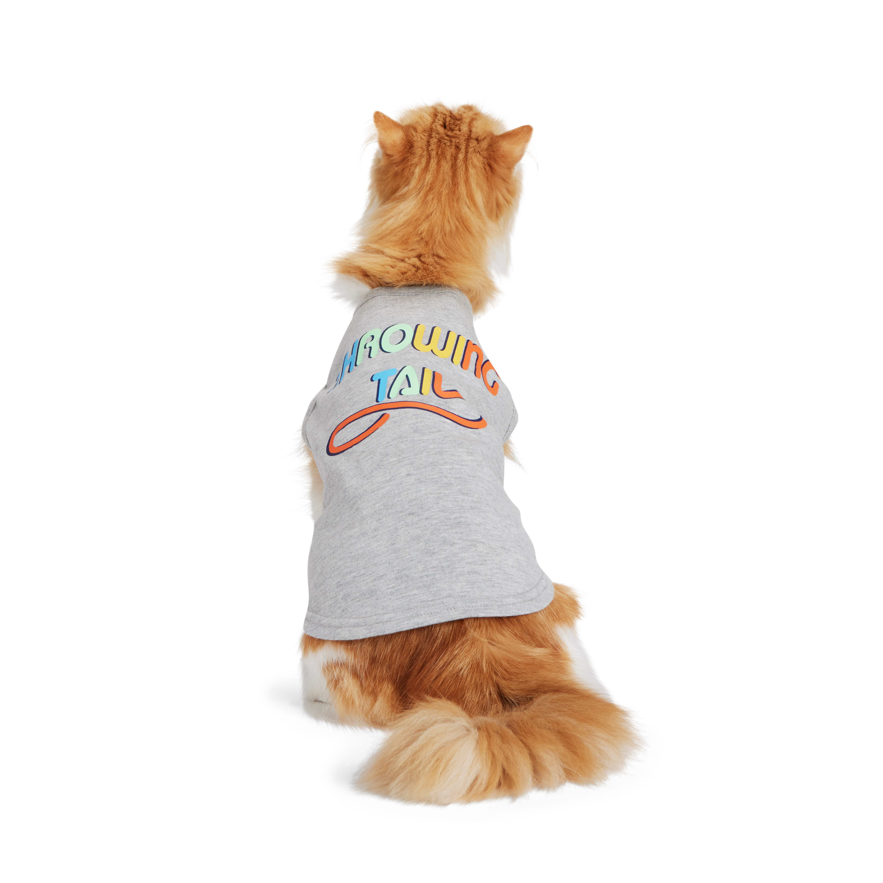 Petco cat clothes hotsell