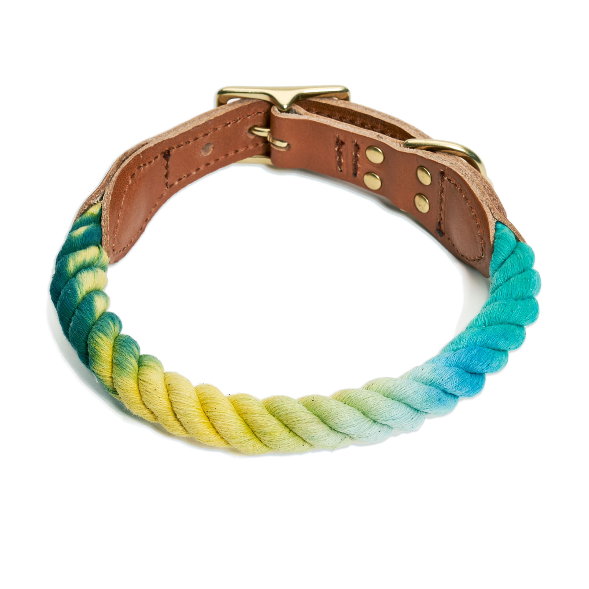 Found 2024 dog collar