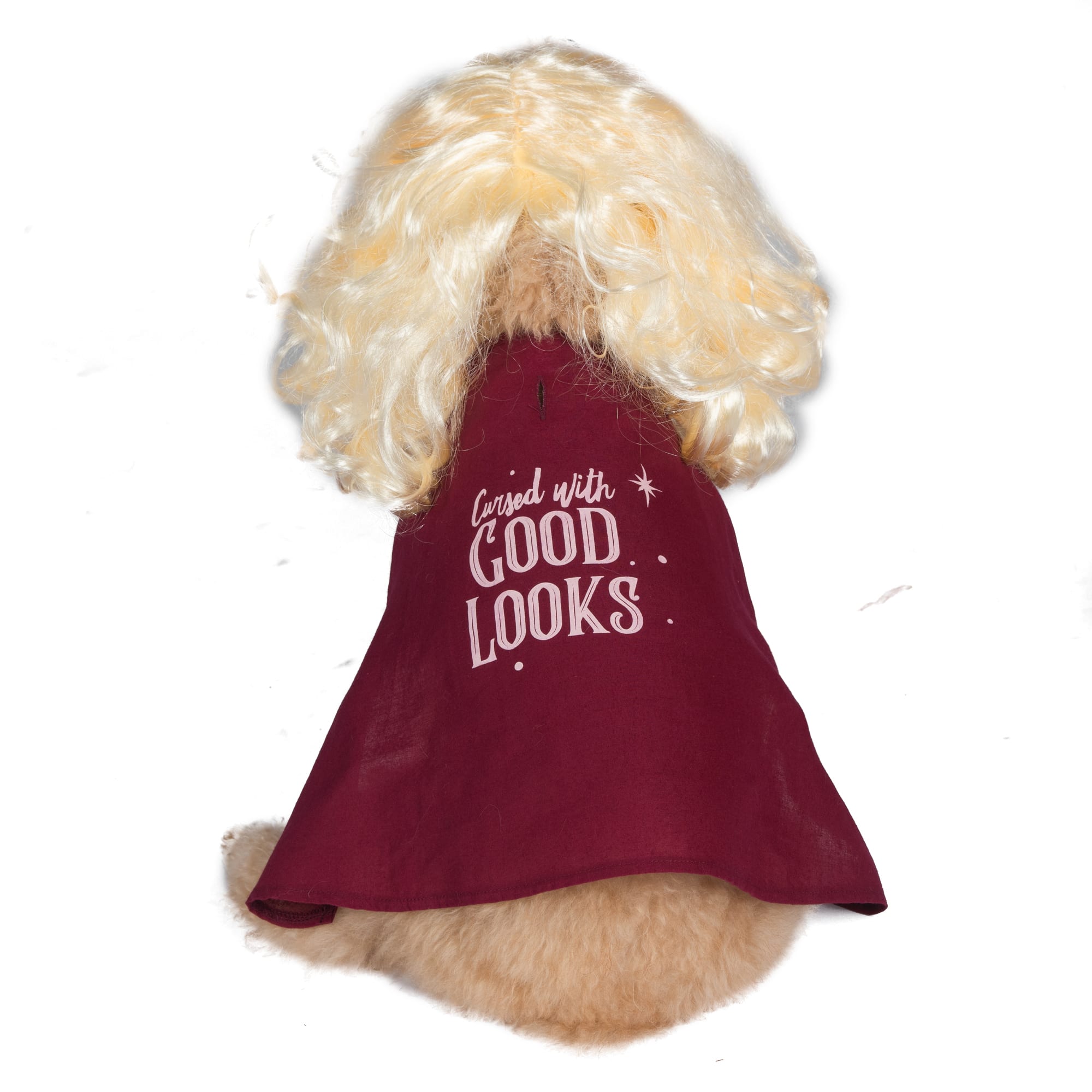 Hocus Pocus Sarah Sanderson Pet Costume