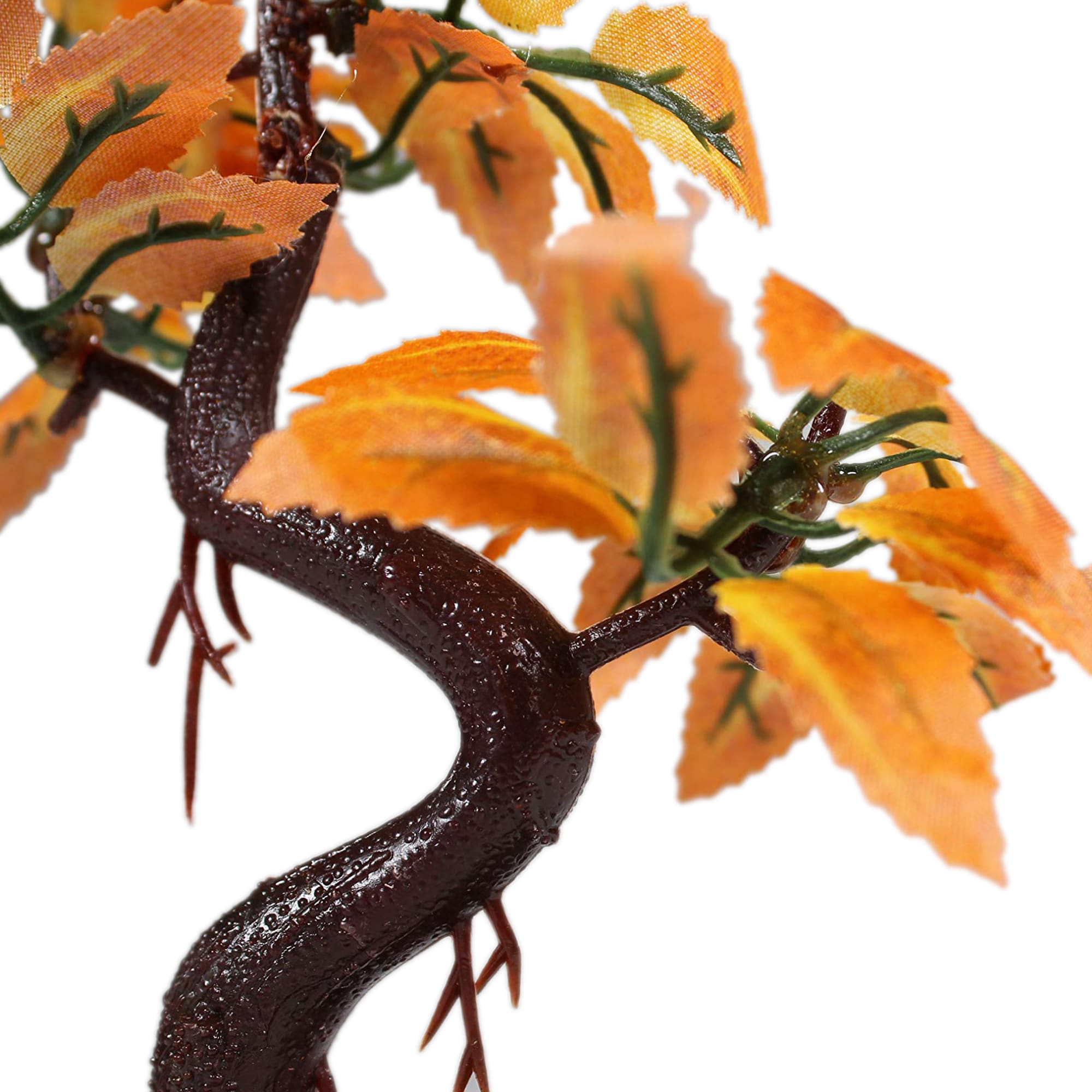 盆栽 piera Penn Plax Red Bonsai 8