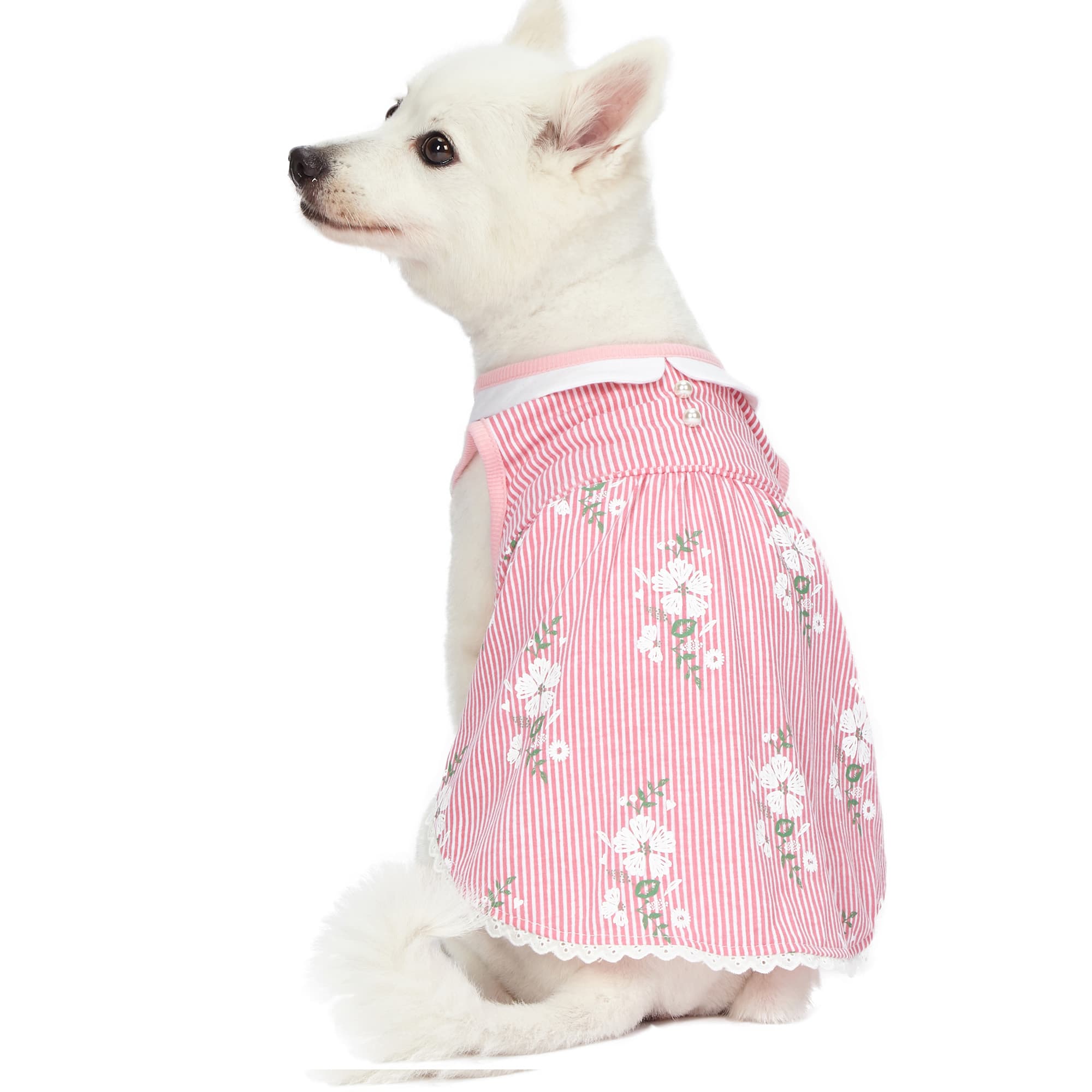 White Dog Dress